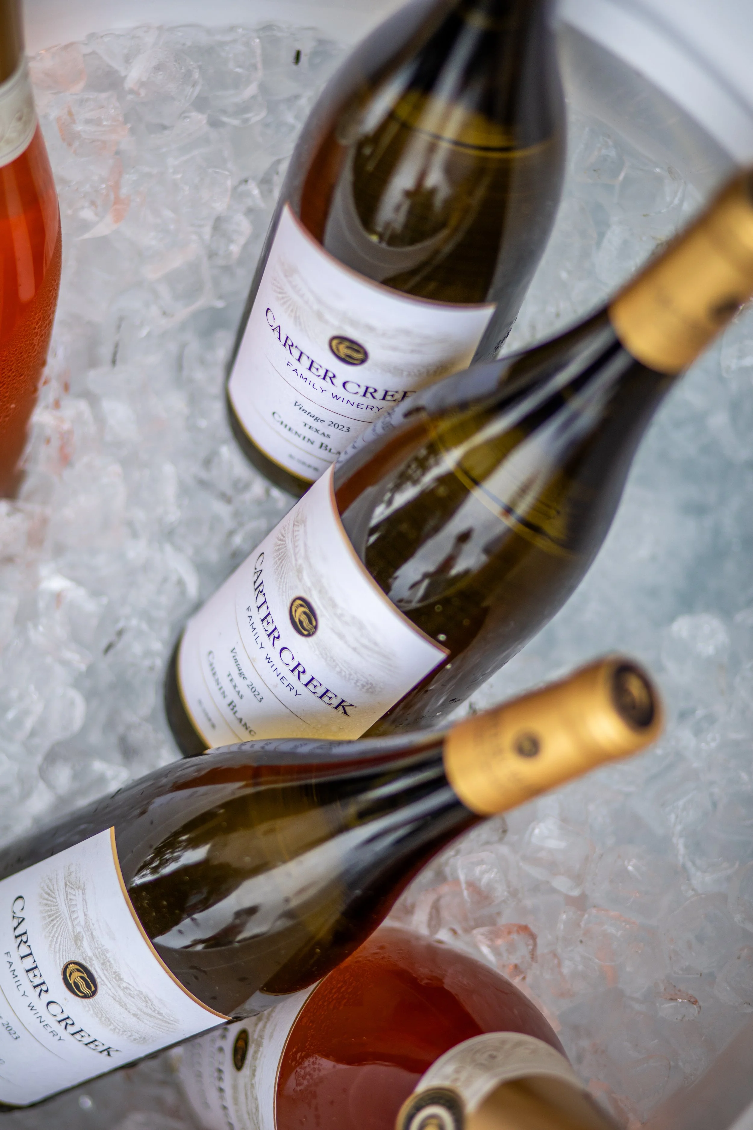 Bottles of Carter Creek Family Winery wine chilling in crushed ice, with a gold foil around the neck of the bottles.