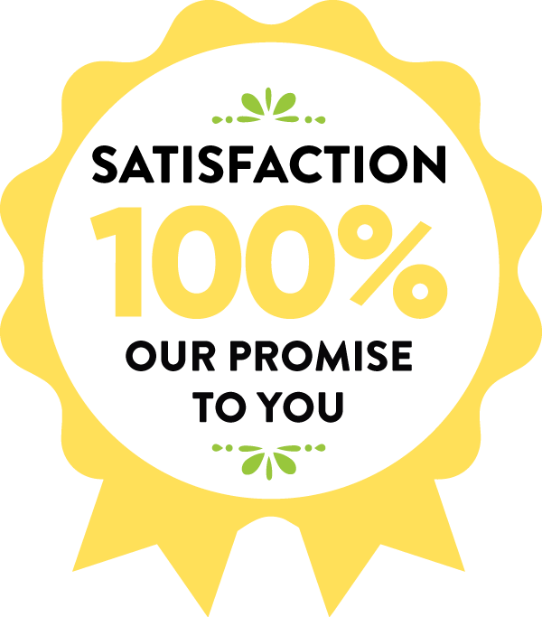 A yellow ribbon award badge with the words 'Satisfaction 100% Our Promise to You' in black and yellow text, with small green decorative elements.