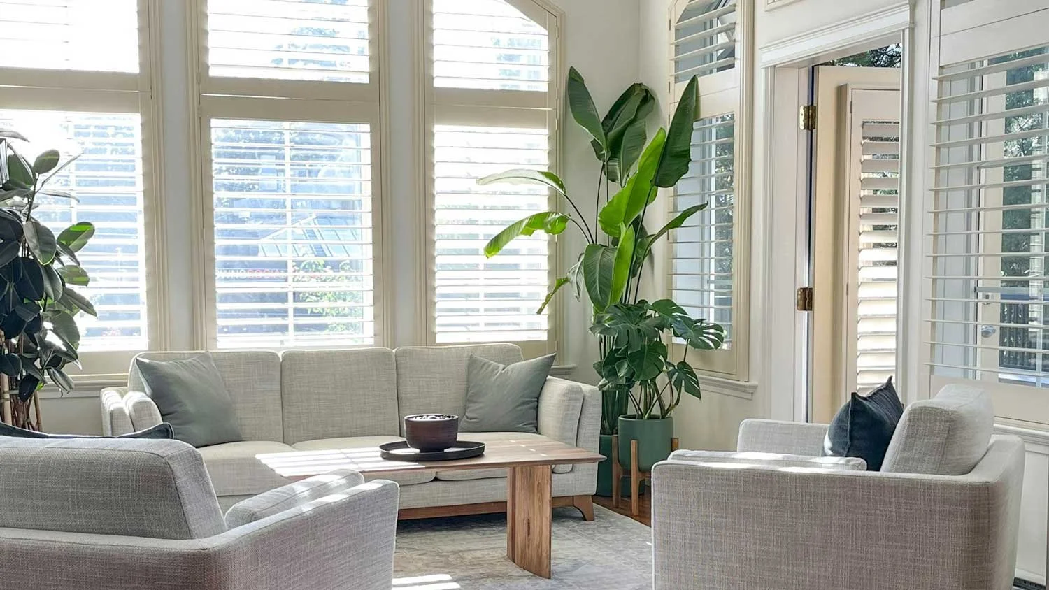 A bright and clean living room with grey couches and big plants