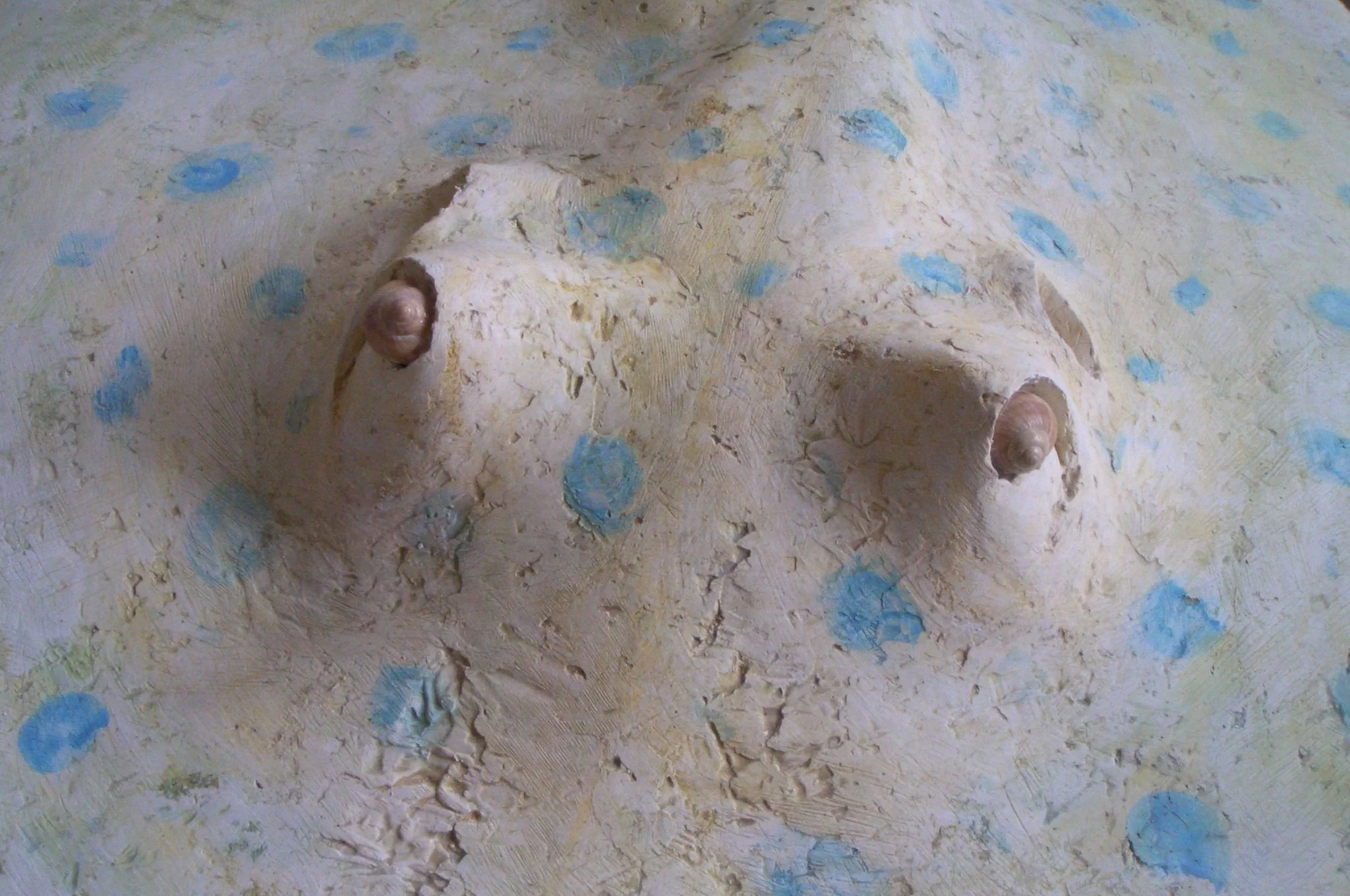 W23m.Rochen Augen2.jpg