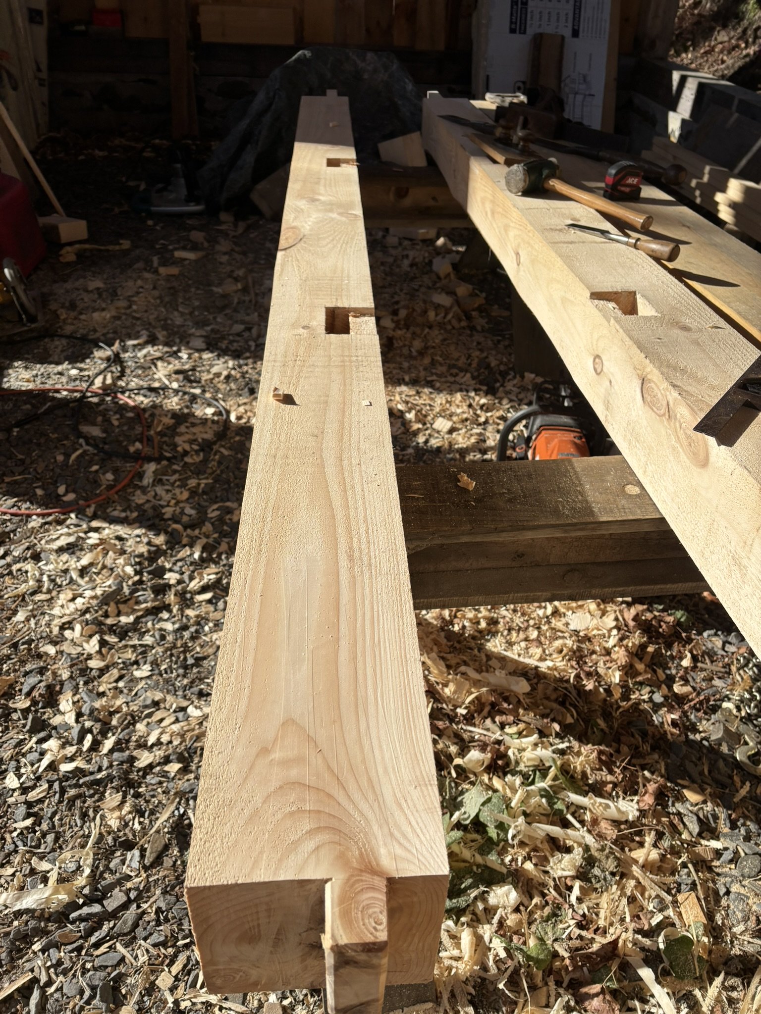 A wooden workbench with two large pieces of lumber clamped on top, surrounded by woodworking tools and sawdust in a shed or workshop.