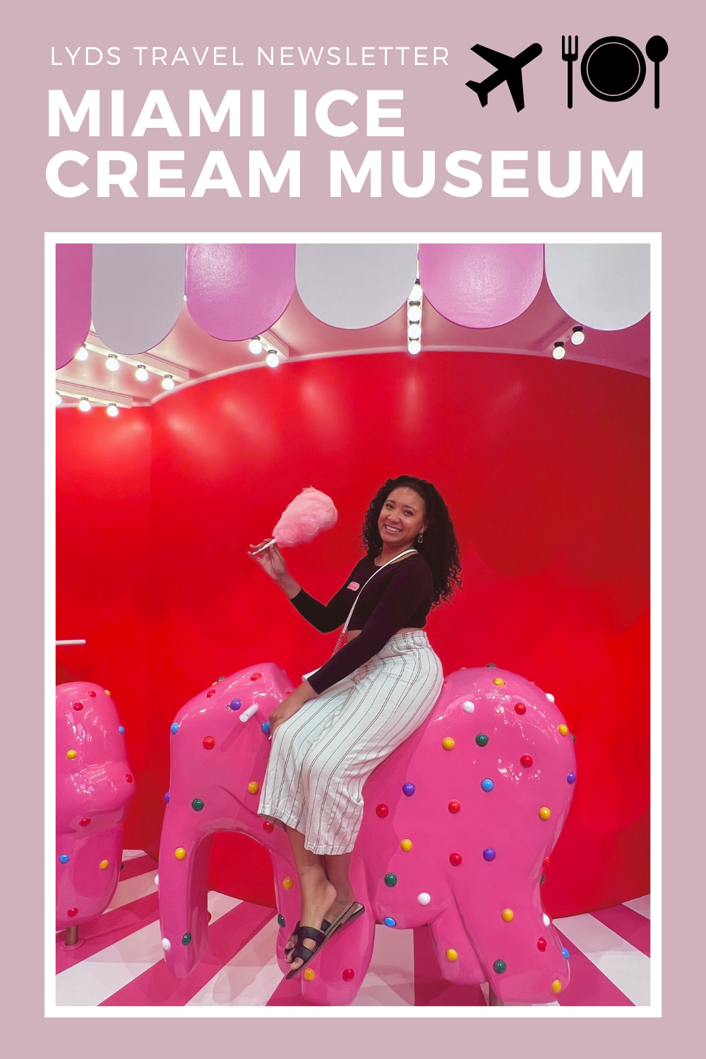 Miami Museum of Ice Cream