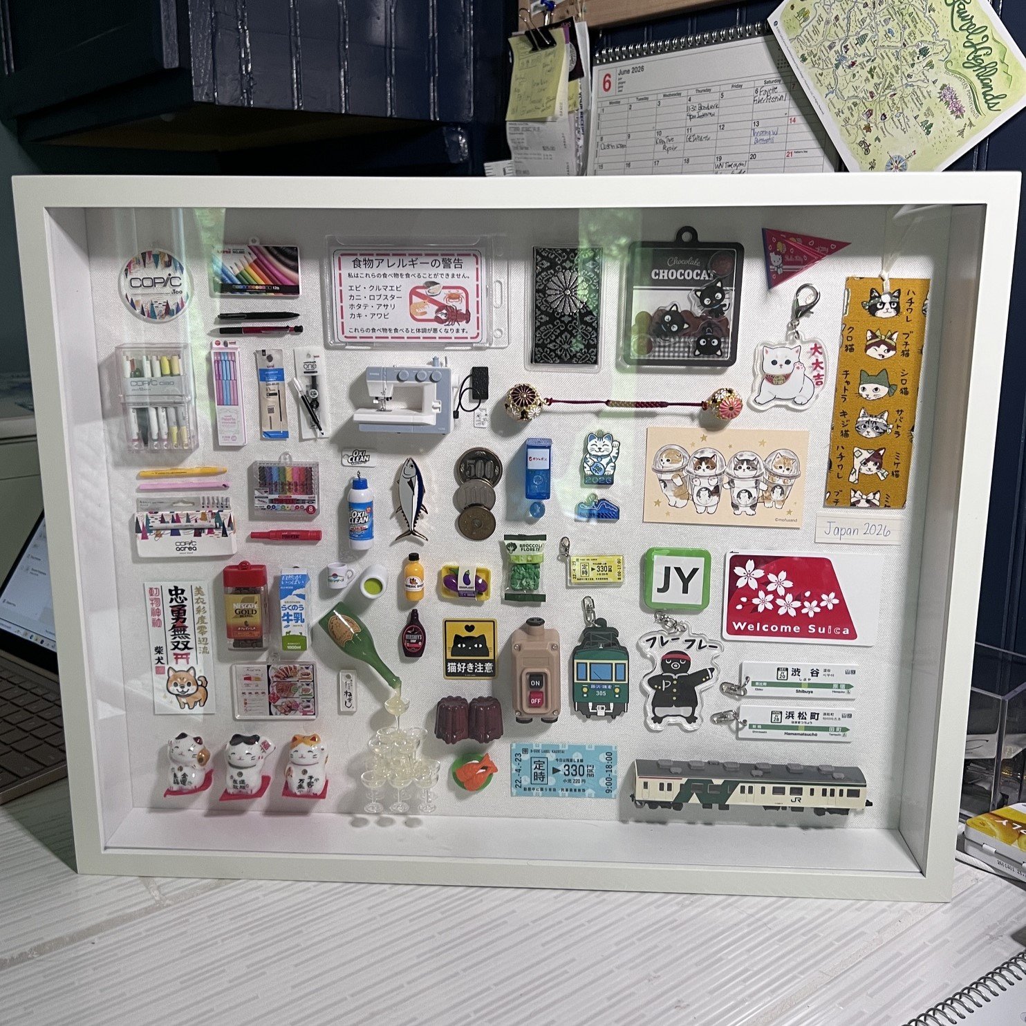 Souvenir Shadowbox