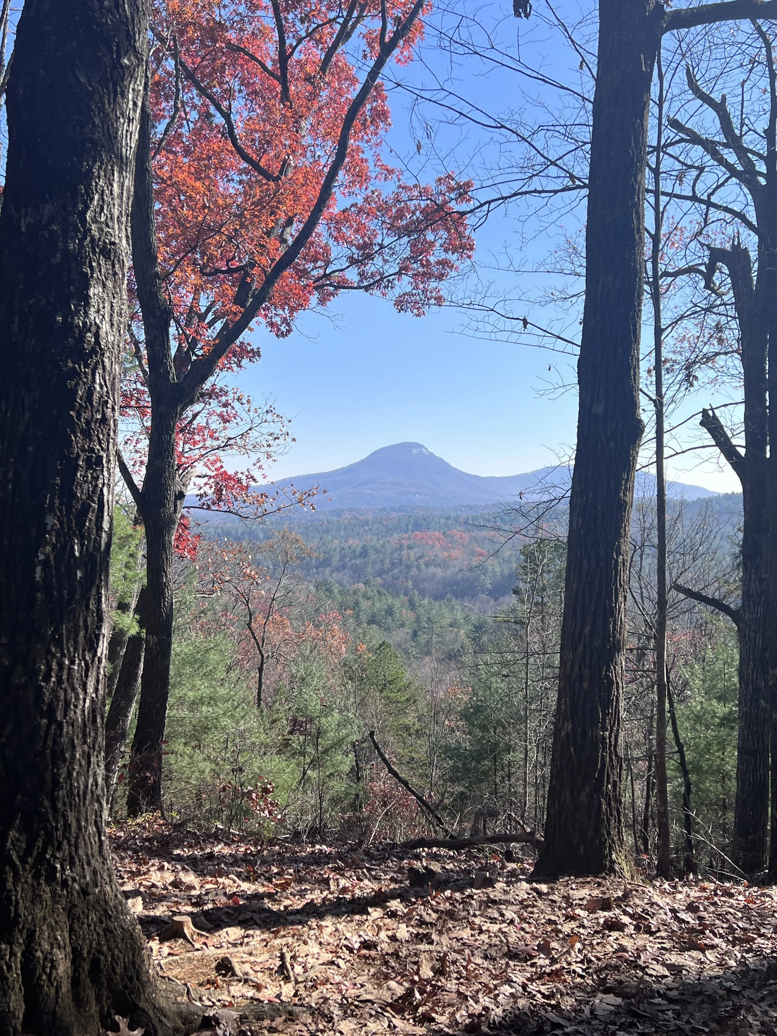 6-Day Fall Hiking Road Trip - Georgia, Tennessee & North Carolina