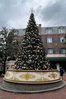 Southern Coastal Christmas Road Trip