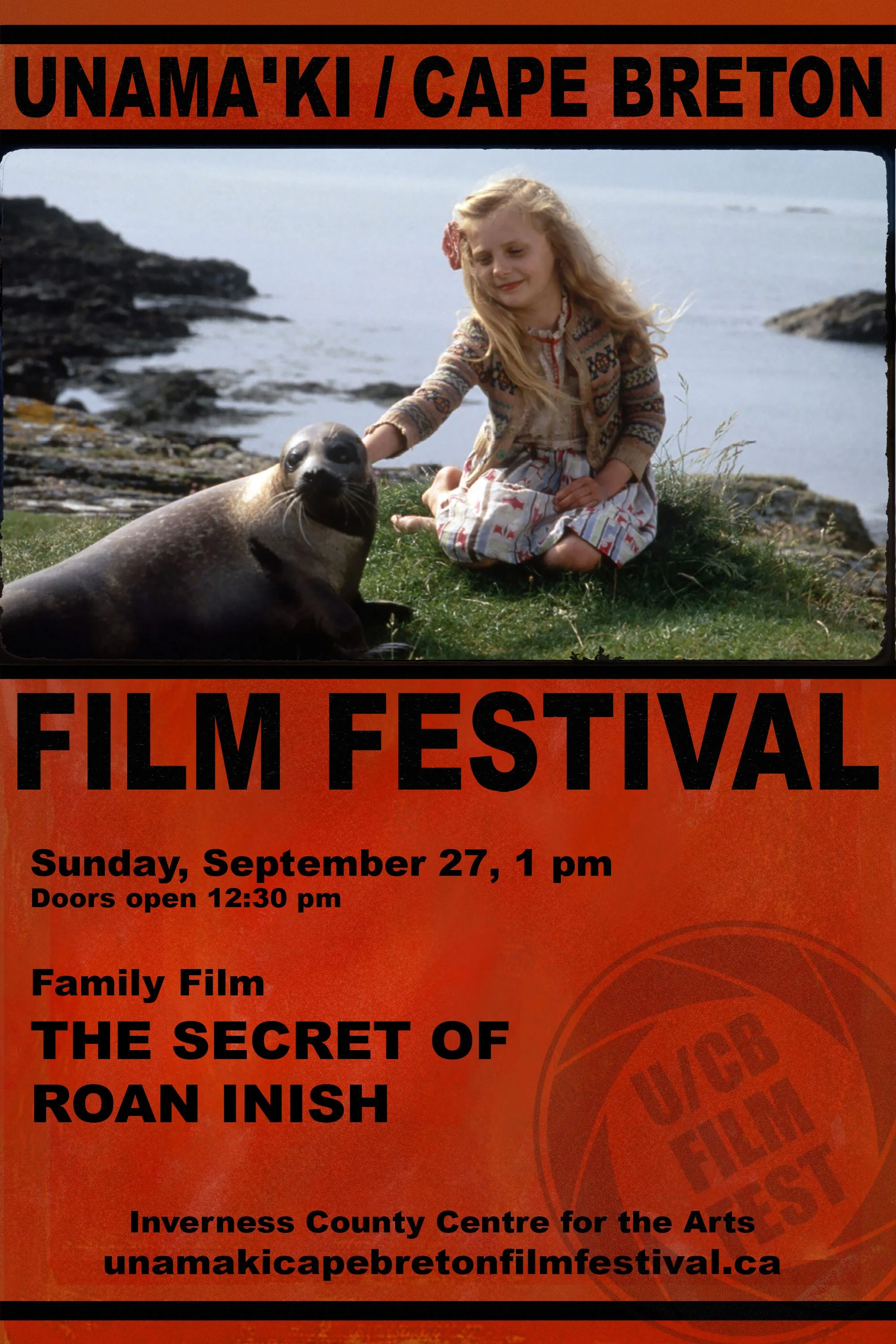 The Secret of Roan Inish