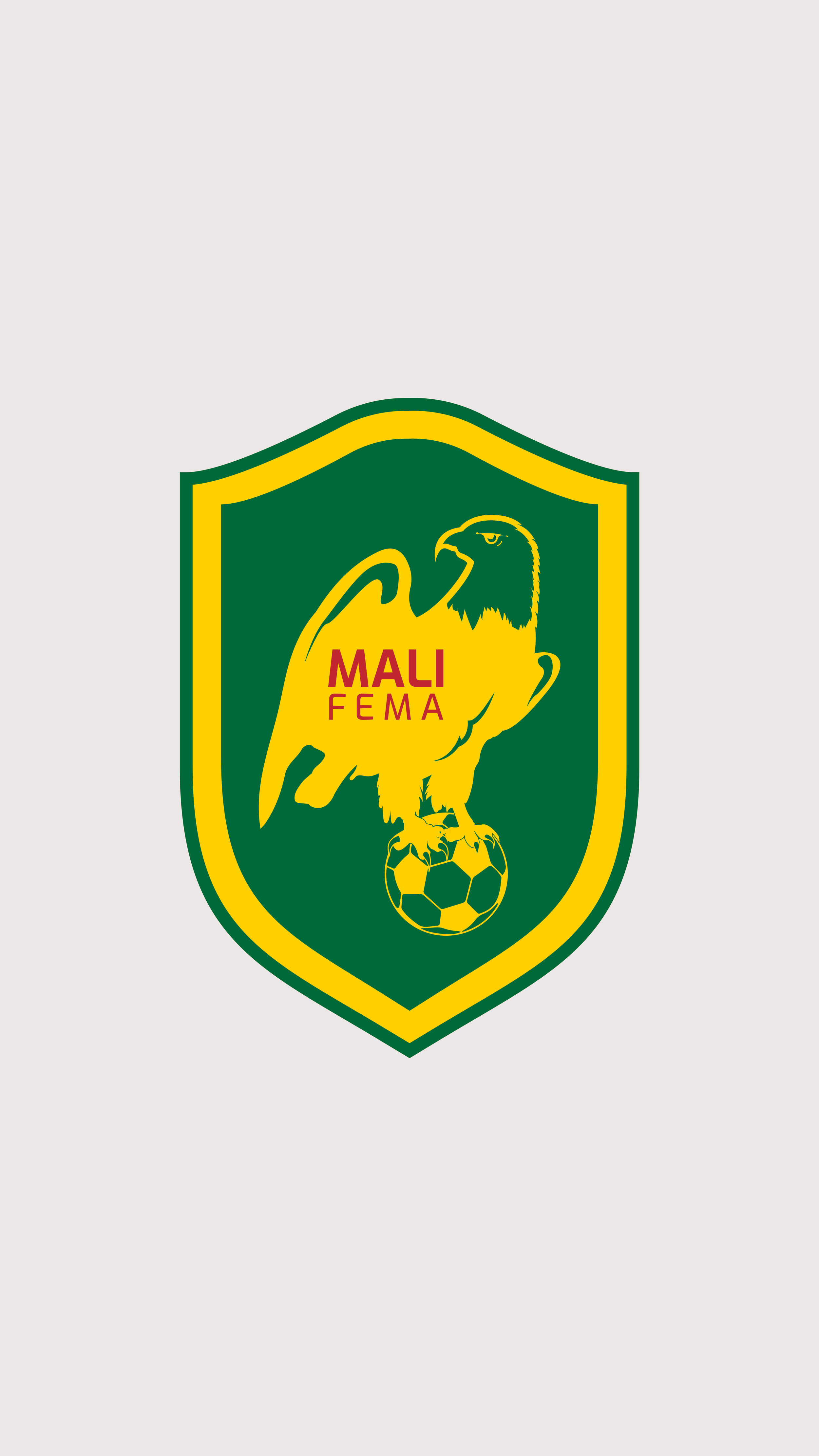 FEMA - Mali