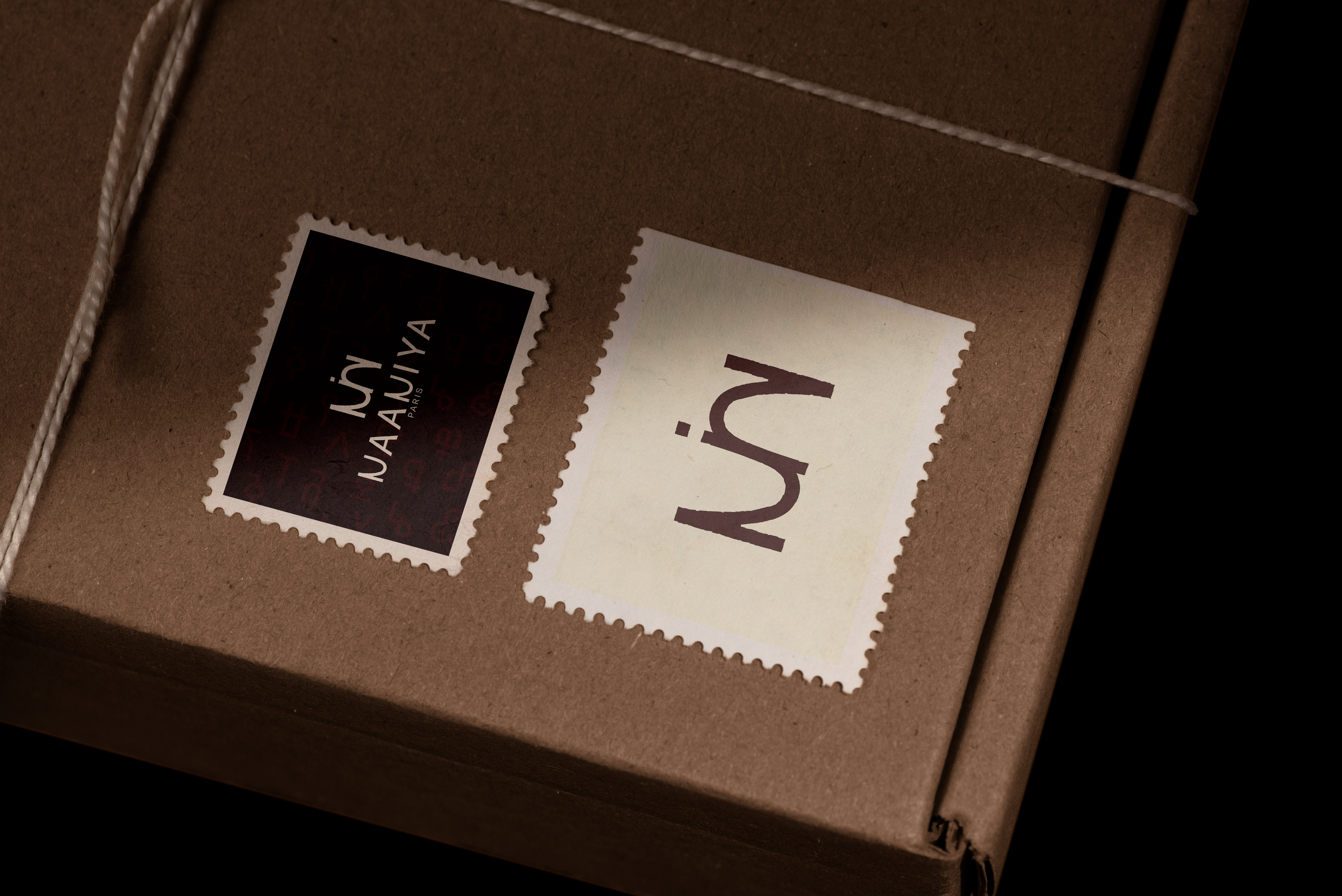 Coffret en carton contenant une boîte de tampons avec étiquette Naaniya.