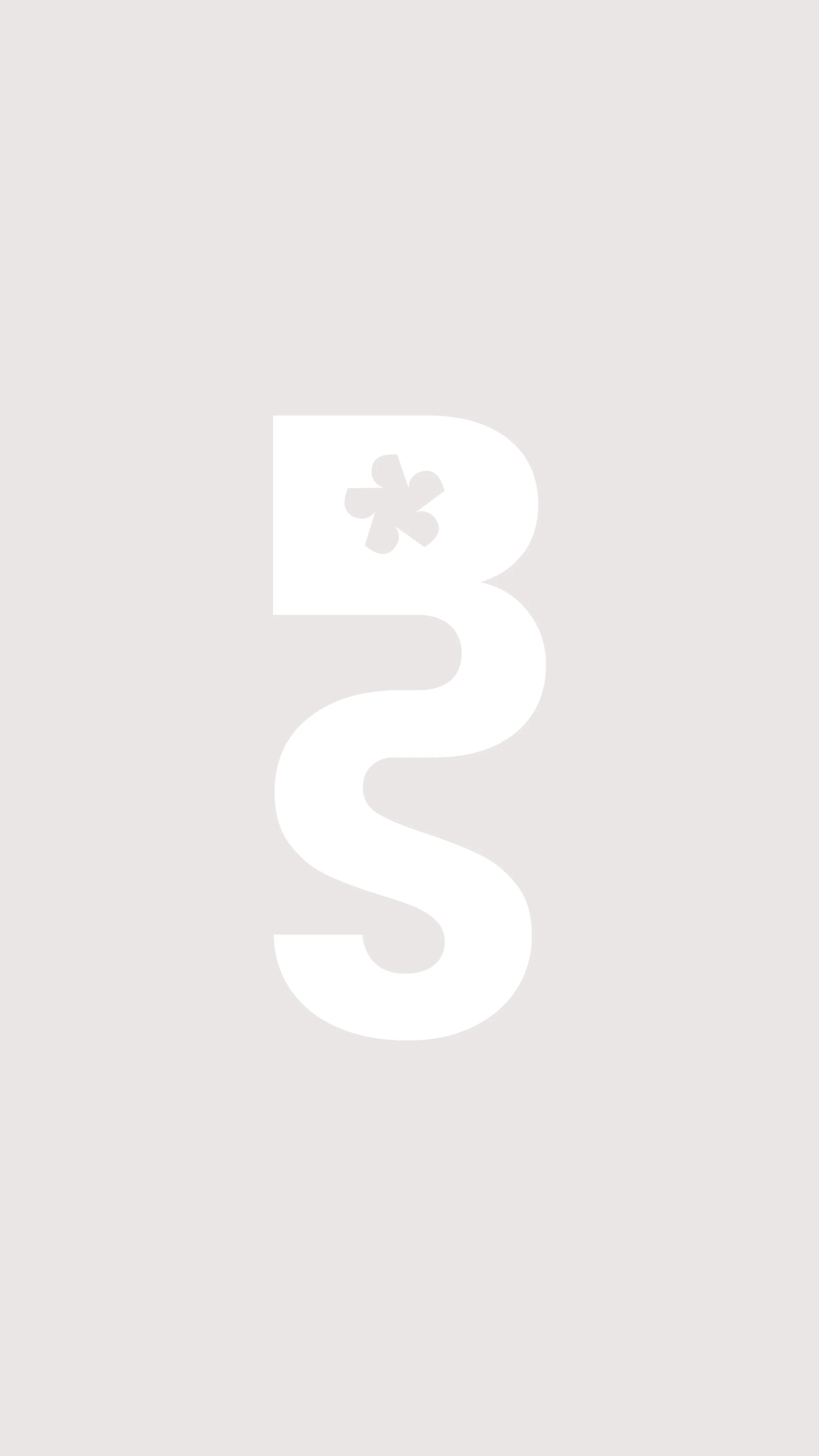BD LOGO.jpg