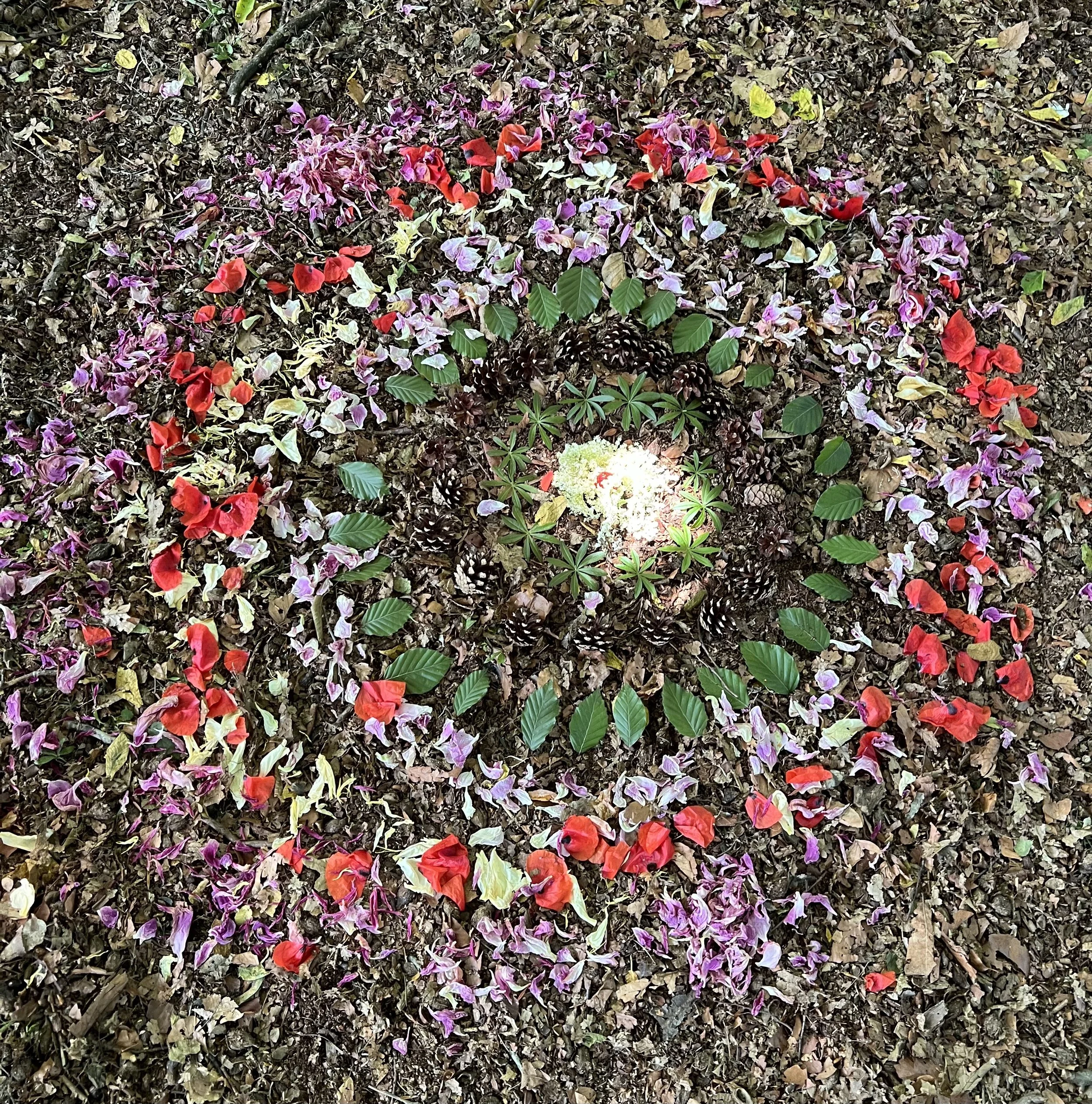 Blumen und Blütenblätter auf dem Boden, darunter rosa, violette und rote Blätter sowie einige grüne Blätter und Tannenzapfen.