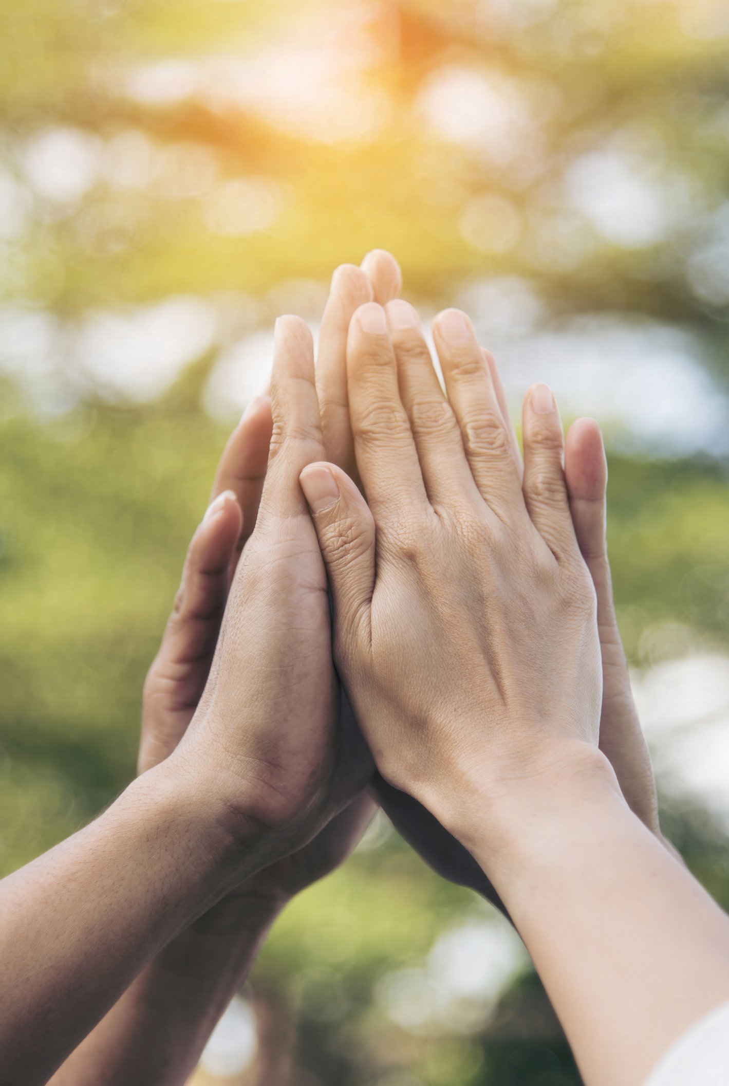 Multiple hands of different skin tones touching palm to palm in a high-five or unity gesture outdoors, with a blurred background of trees and sunlight.