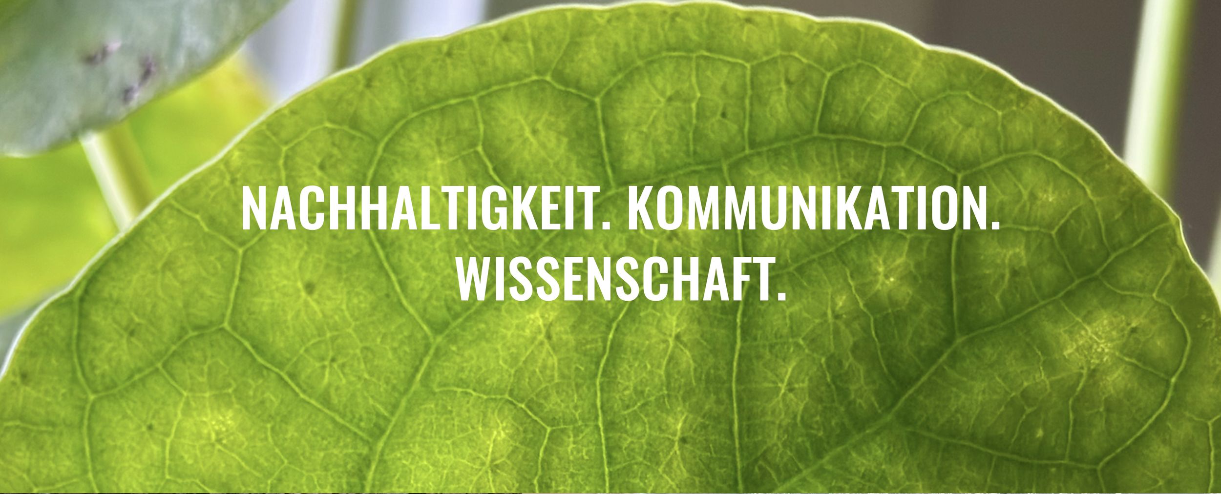 Bildschirmfoto 2026-07-03 um 09.27.43.png