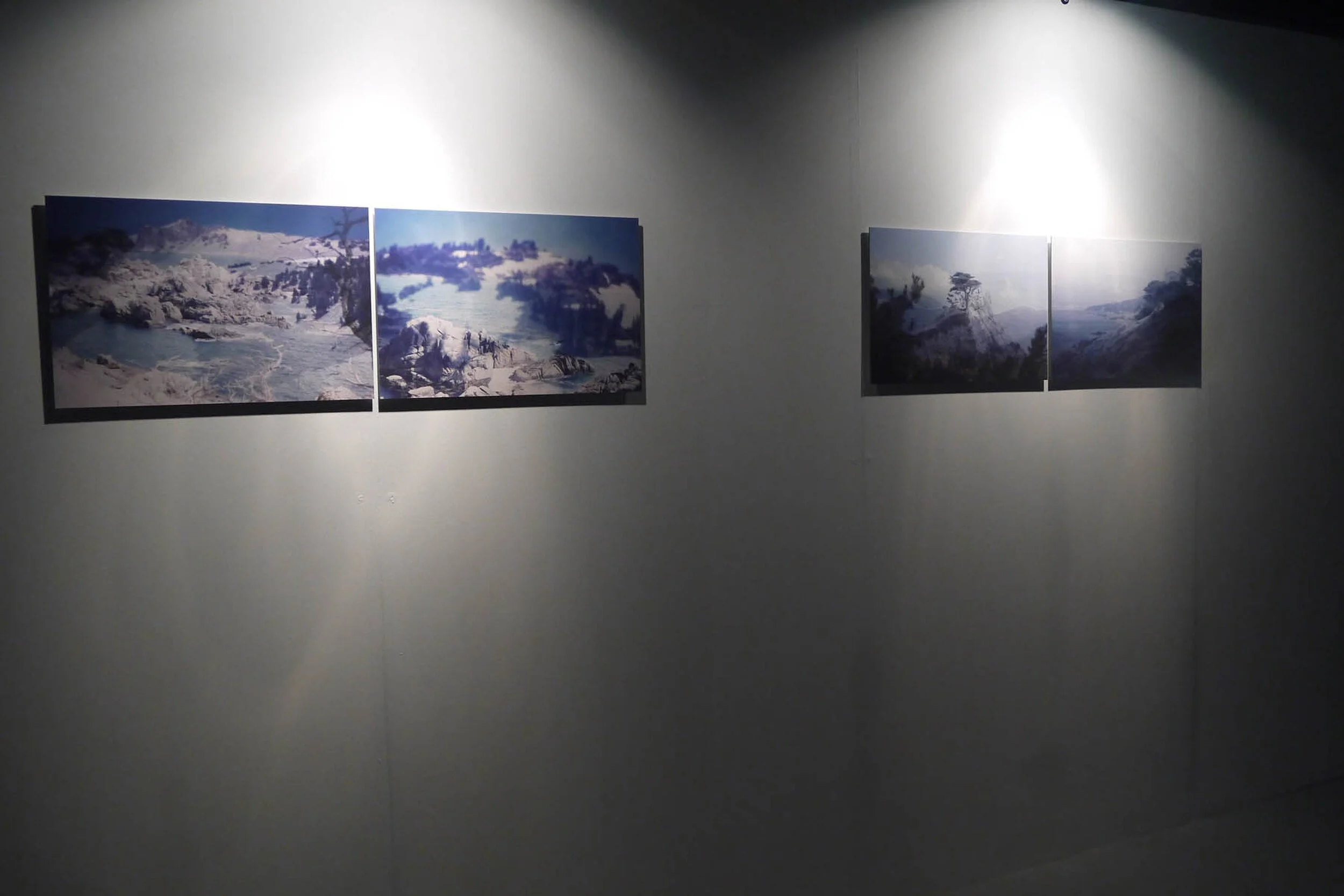 clare-massey-shared-land-installation-view-wall-pairs-2012.jpg