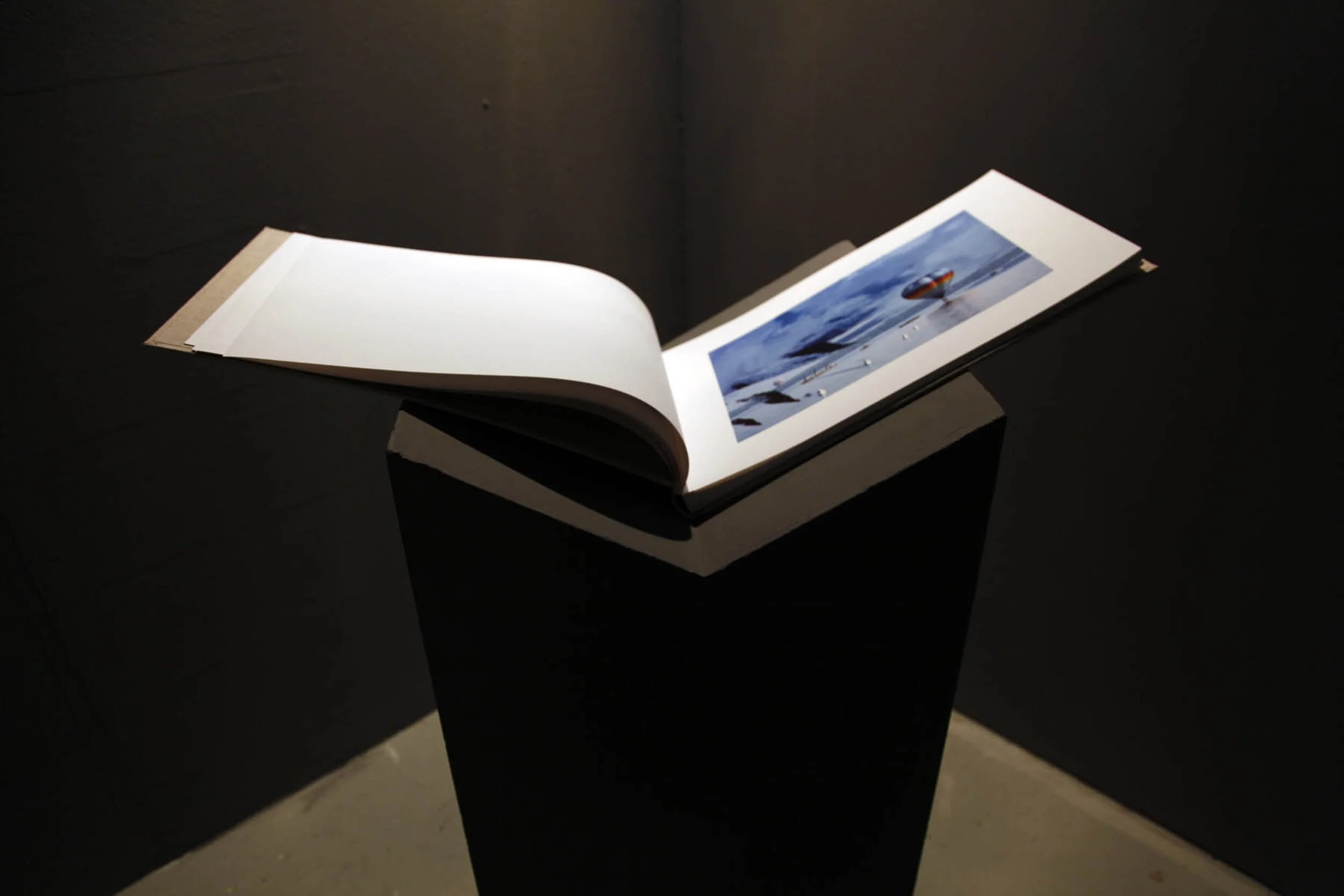 clare-massey-shared-land-installation-view-artist-book-2012.jpg