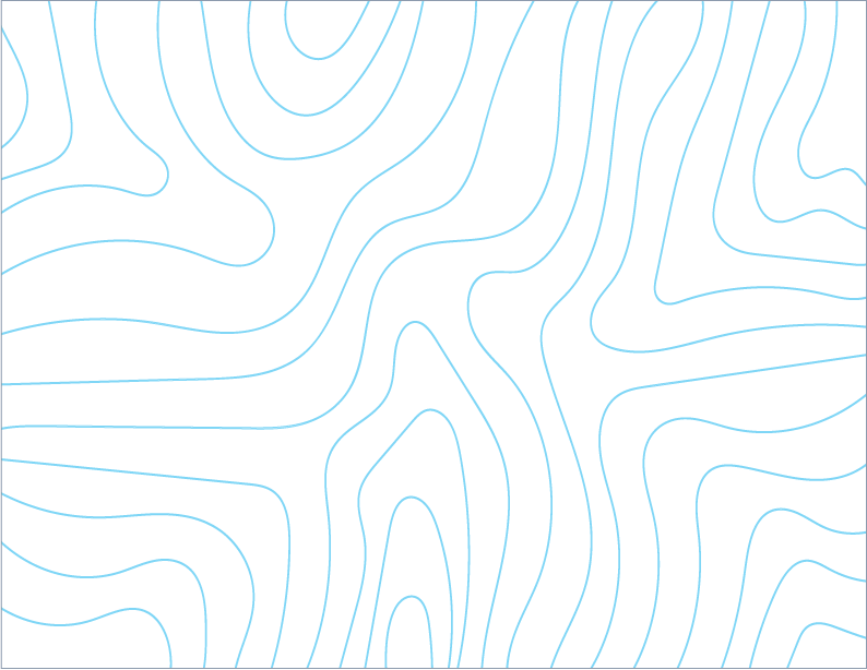 Asset 1.png