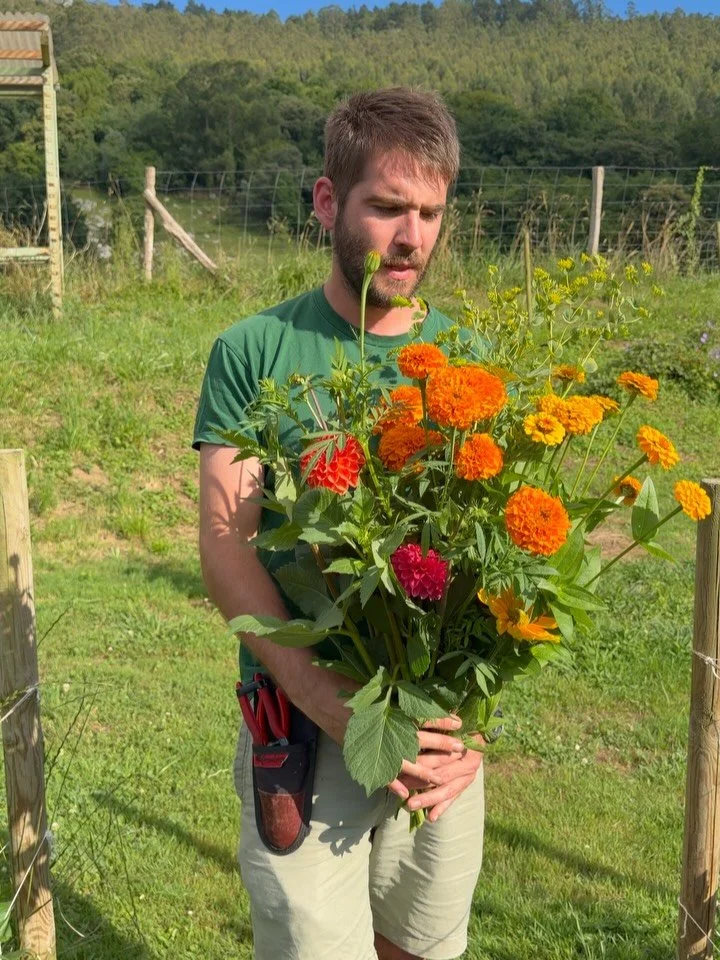 DEL HUERTO AL JARR&Oacute;N.

Cuando me preguntan por mi oficio yo siempre digo que soy florista. Y es que aunque a veces parezca que no, eso es a lo que nos dedicamos. Todo lo dem&aacute;s que hacemos es tan solo parte del camino para crear composic