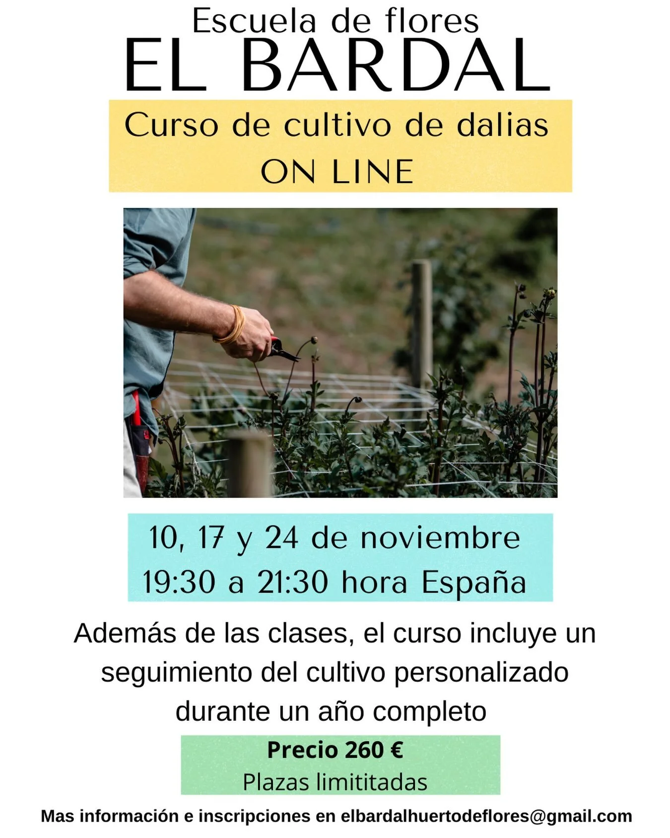CURSO DE CULTIVO DE DALIAS ON LINE

Sacamos nuevo curso formato on line.

Adem&aacute;s de las clases que tendr&aacute;n lugar en noviembre v&iacute;a on line en directo, el curso incluye un asesoramiento y seguimiento personalizado durante toda la c