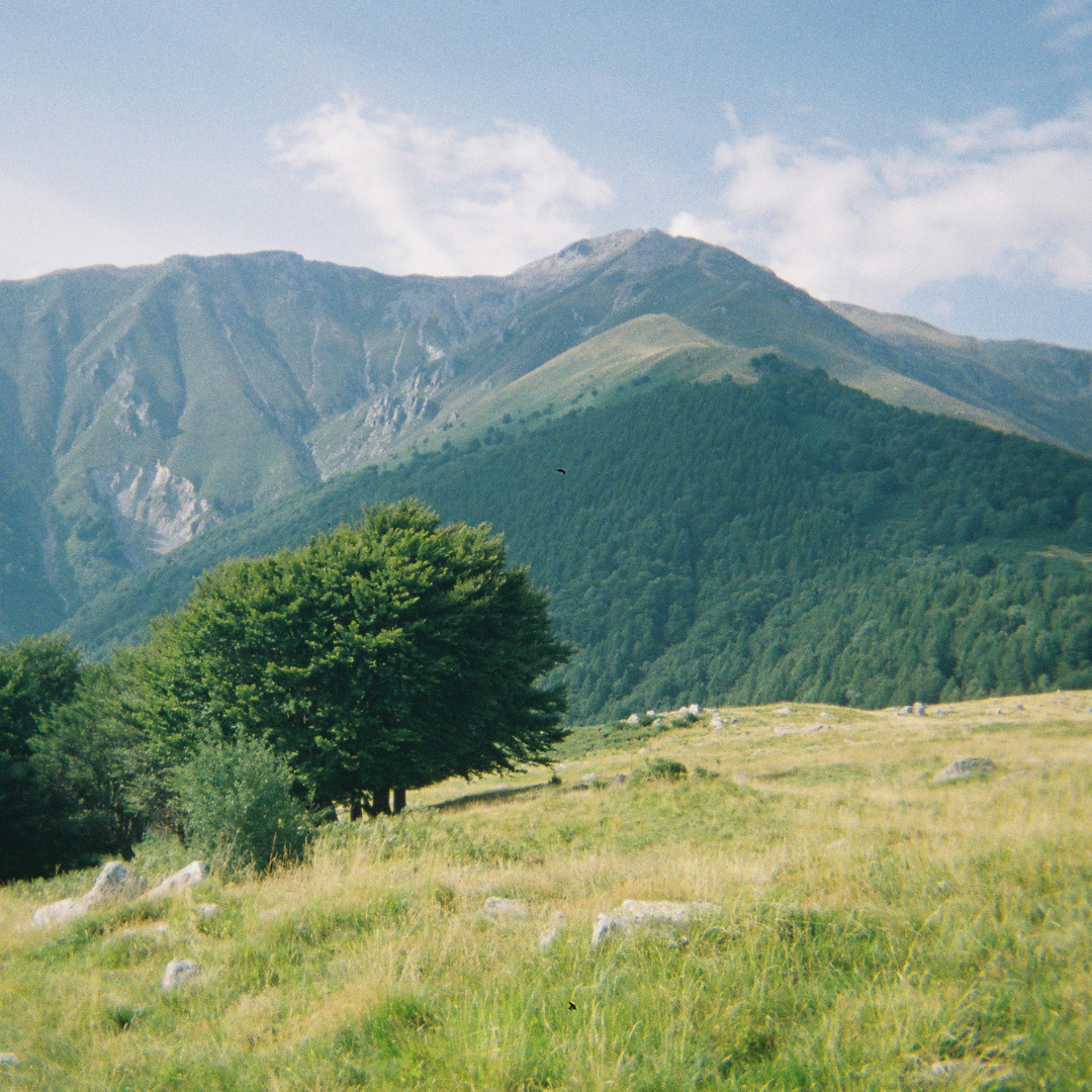 Mountain landscape with green rolling hills, scattered trees, and a clear sky with a few clouds.