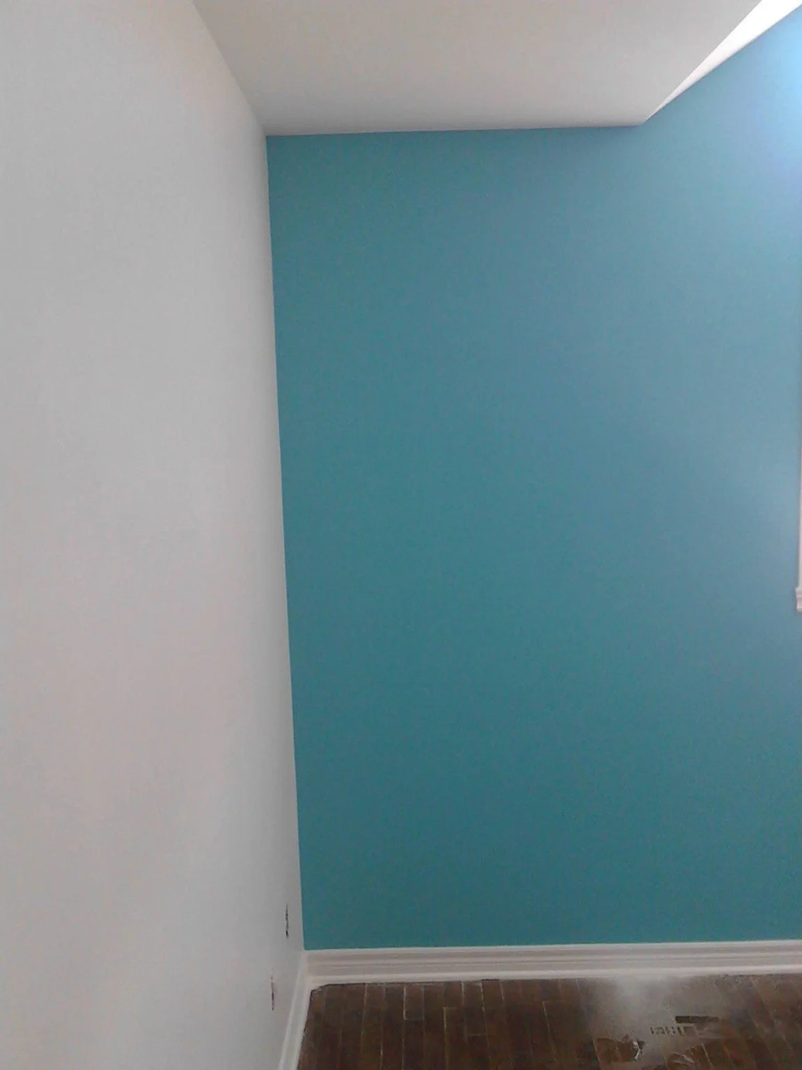 Blue painted accent wall in a residential interior