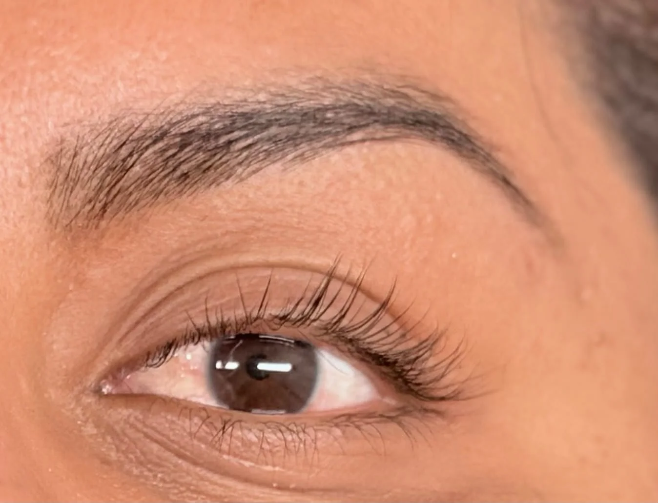 Nahaufnahme eines menschlichen Auges mit braunem Iris, langen Wimpern und gepflegter Augenbraue.
