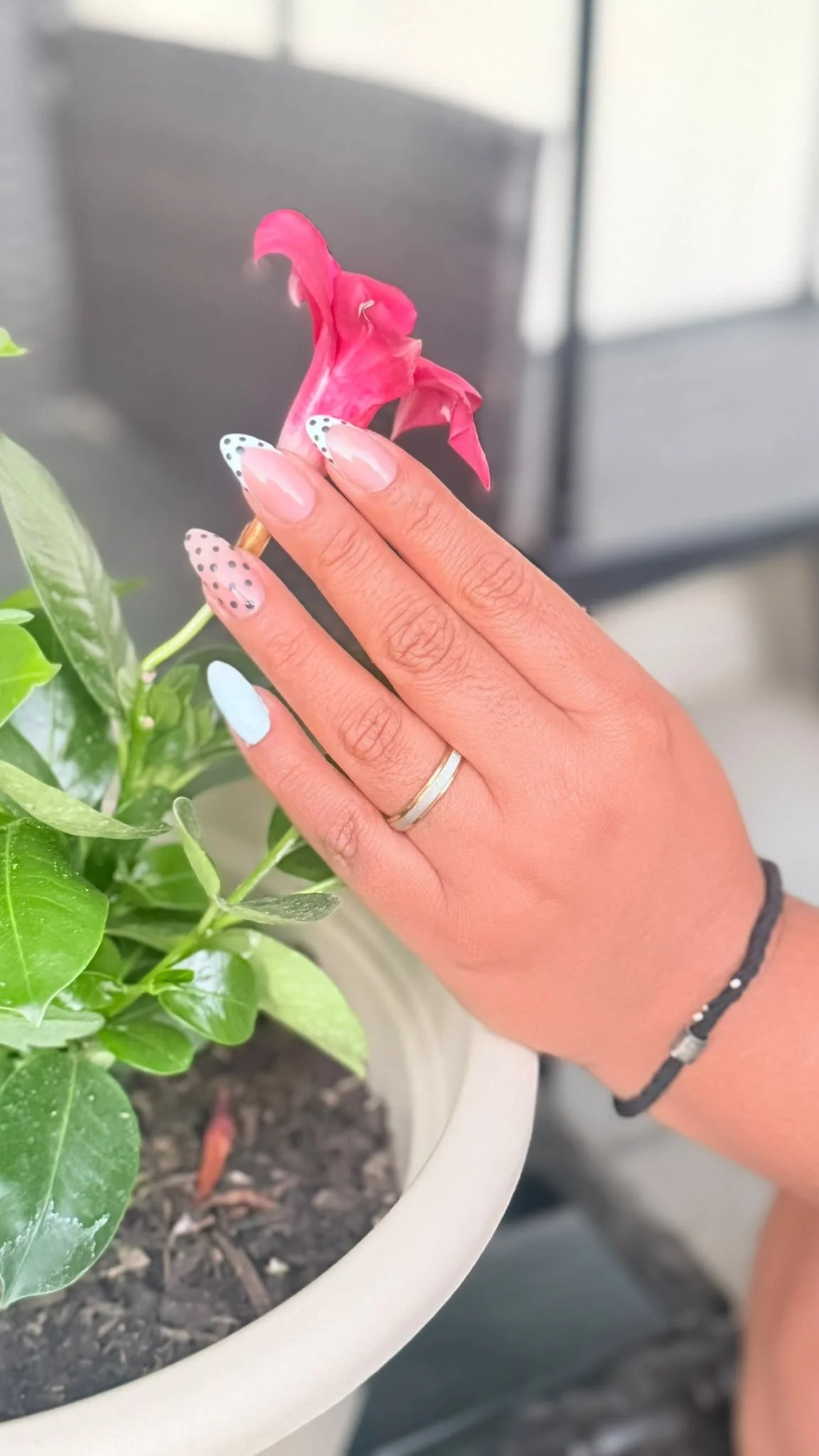 Eine weibliche Hand hält eine pinkfarbene Blume über einer grünen Pflanze in einem weißen Topf.