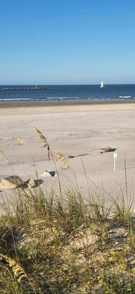 Beach scene with sand, rocks, and grasses in the foreground, calm ocean water past the shore, a small sailboat, and a pier or jetty in the distance under a clear blue sky.