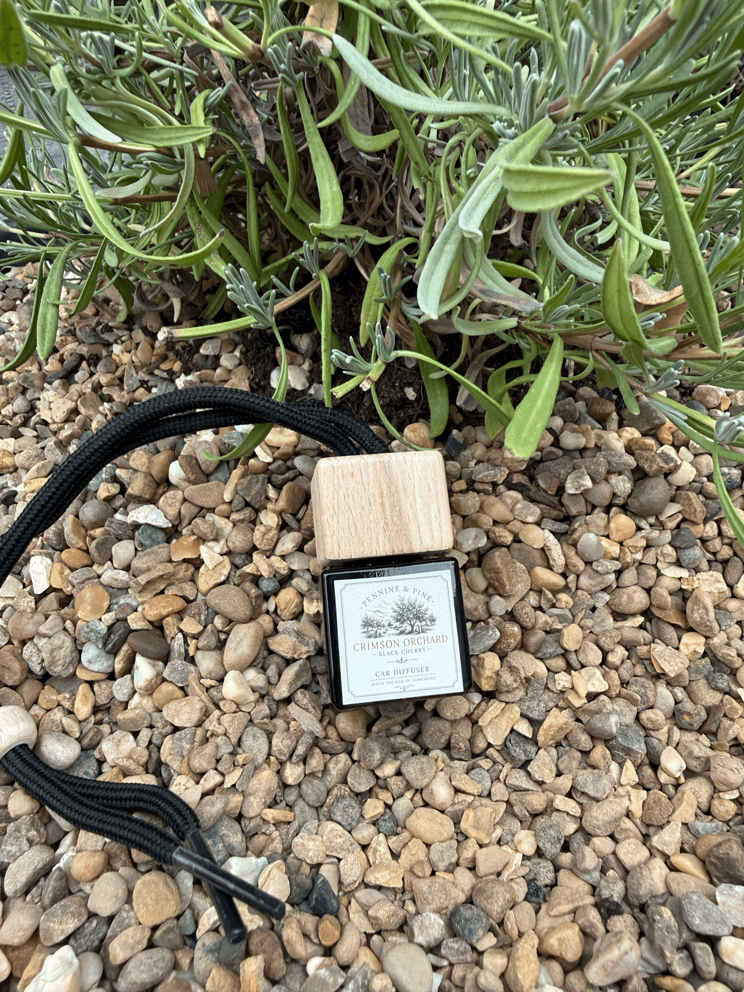 Black Cherry Car Diffuser | Crimson Orchard