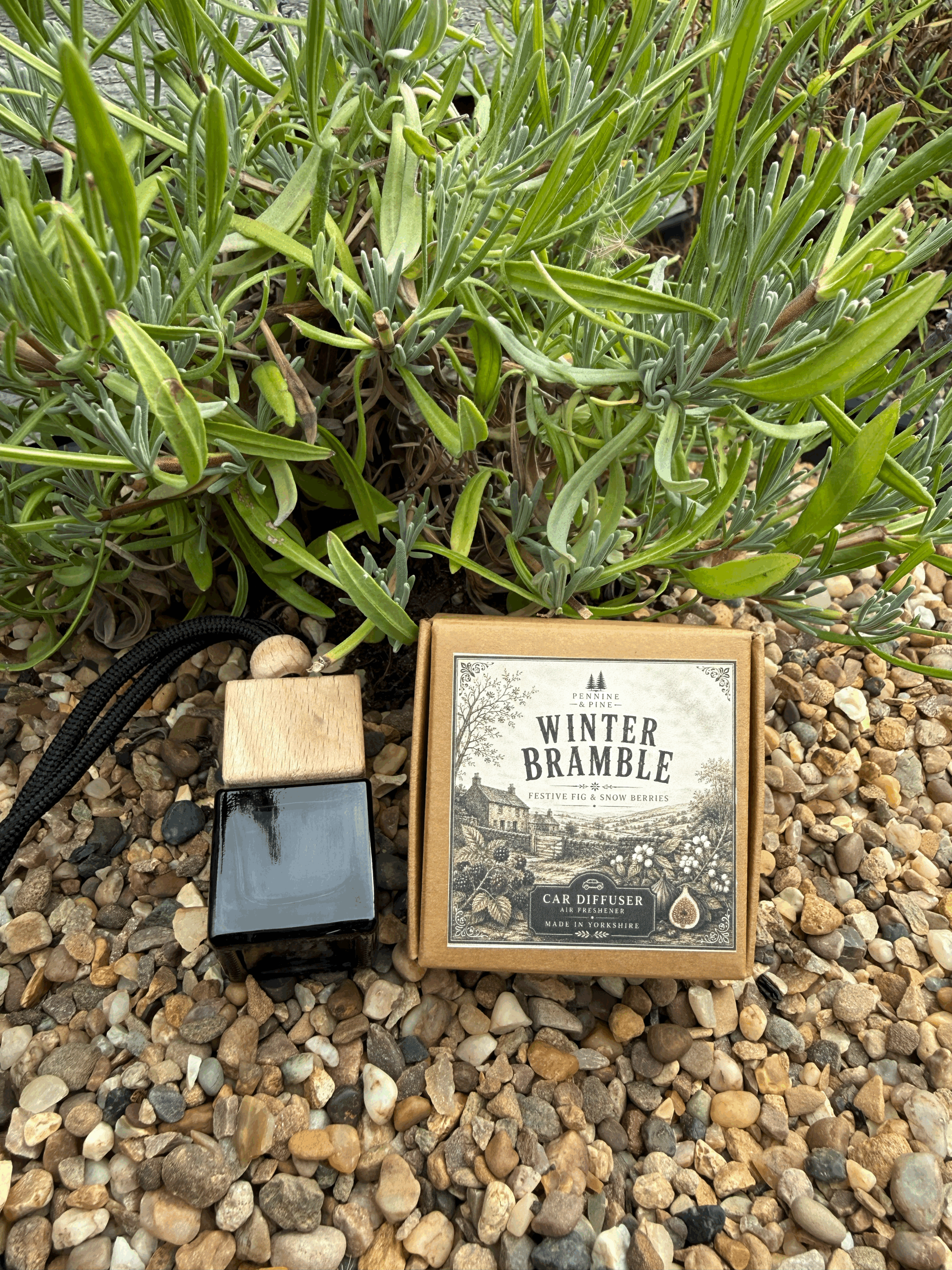 Fig & Winter Berries Car Air Freshener | Winter Bramble