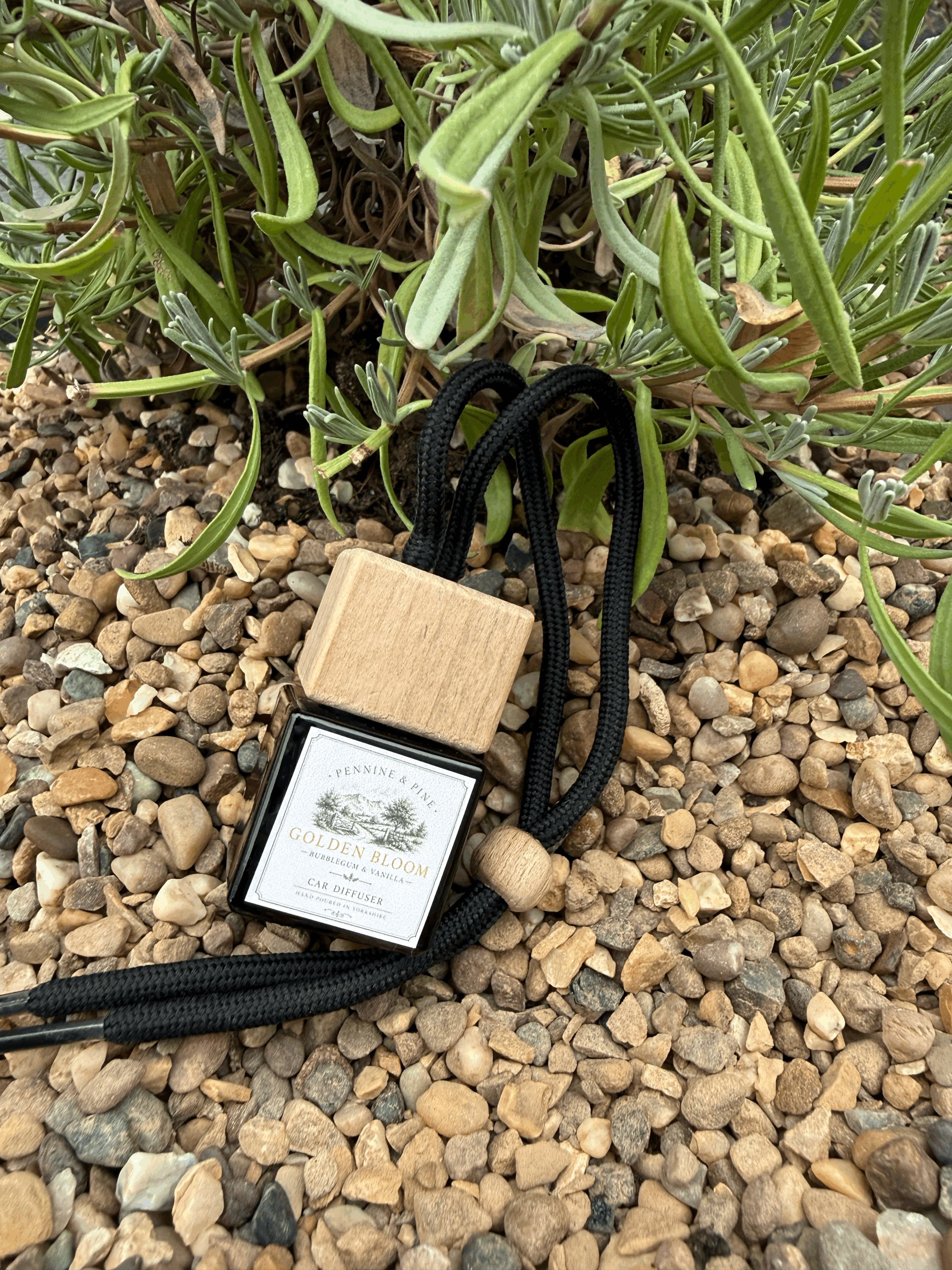 Bubblegum & Vanilla Car Diffuser | Golden Bloom