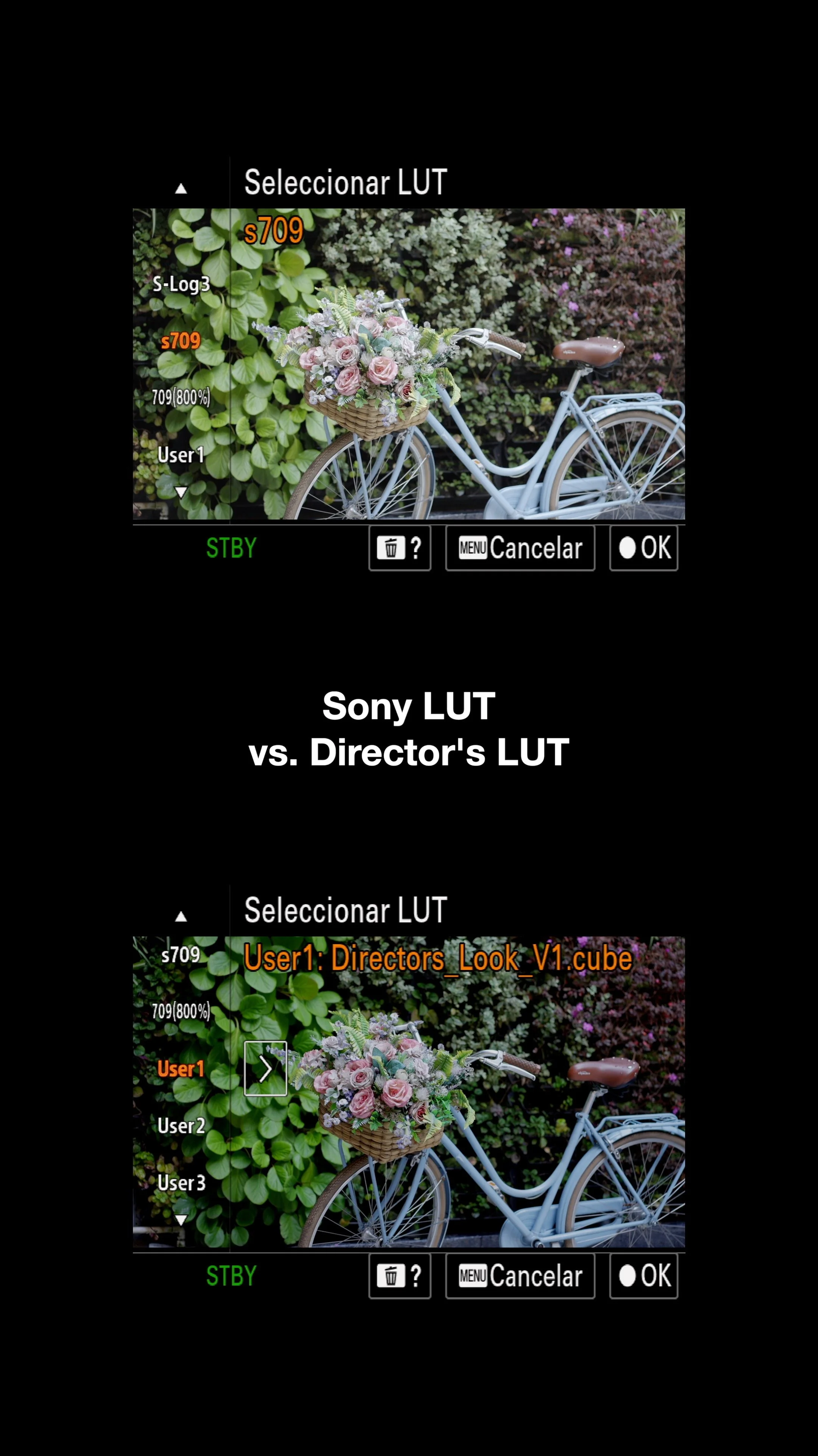 Interfaz de la cámara de un dispositivo Sony mostrando una bicicleta decorada con flores y un fondo de vegetación, con opciones y controles de selección en pantalla.