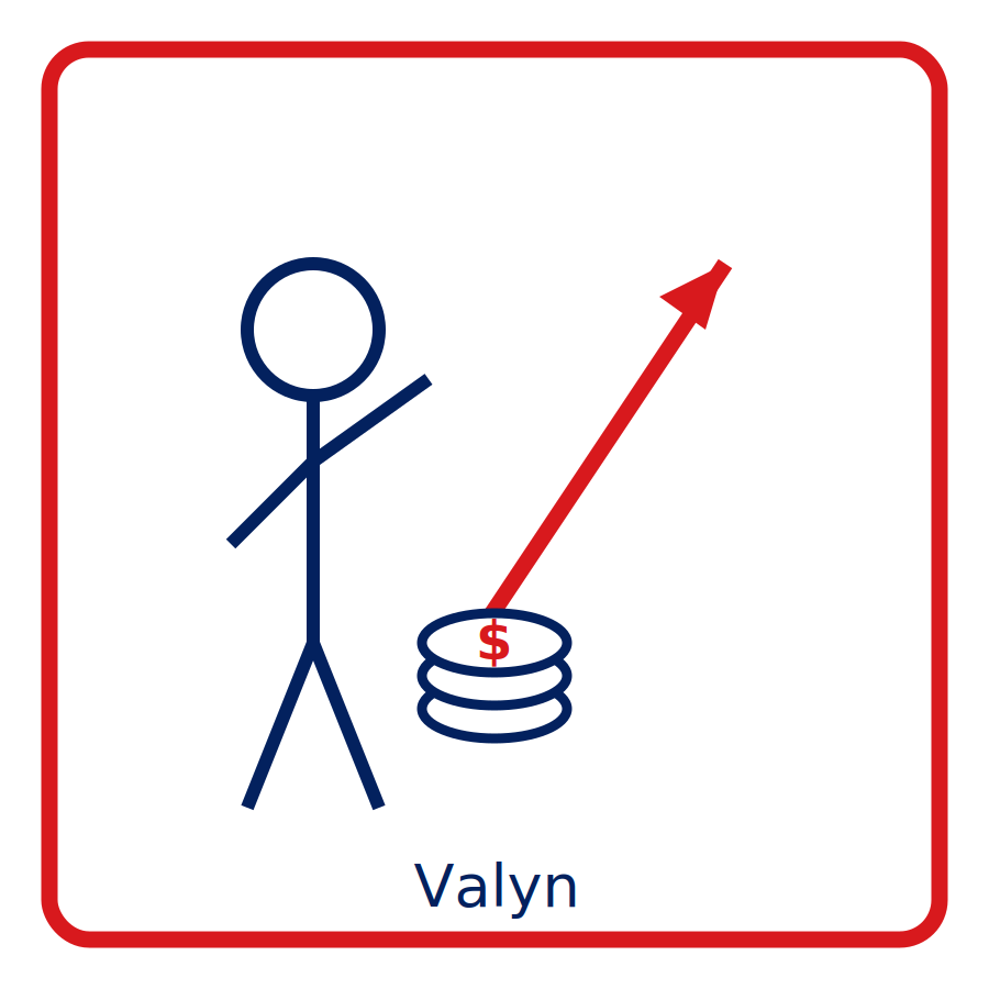 Valyn Finance Management - specialised business budgeting tool
