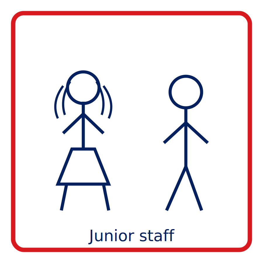 English Literacy Assessment: Junior Staff