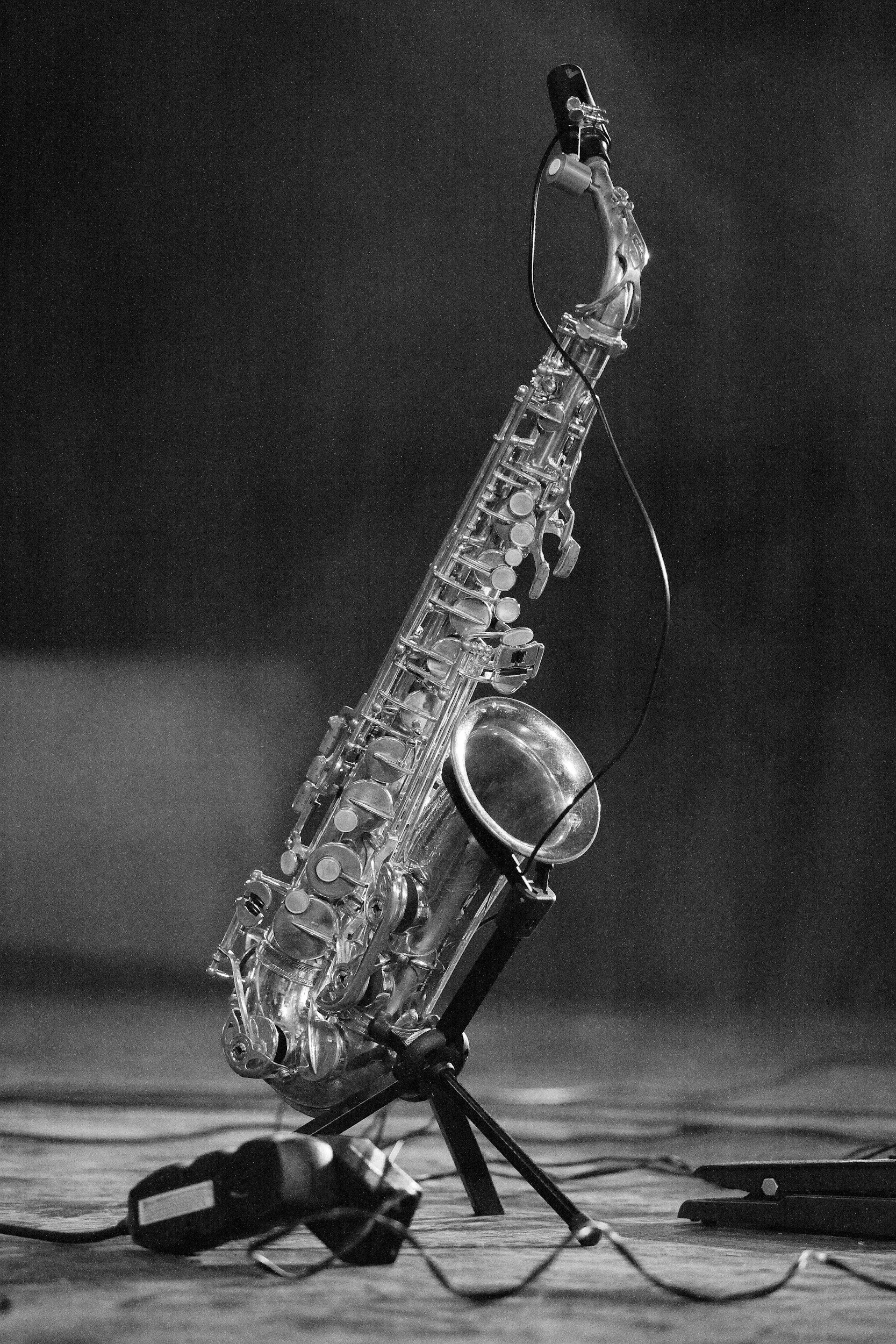 Blue Muse Jazz, Fleet Landing (residents only) 