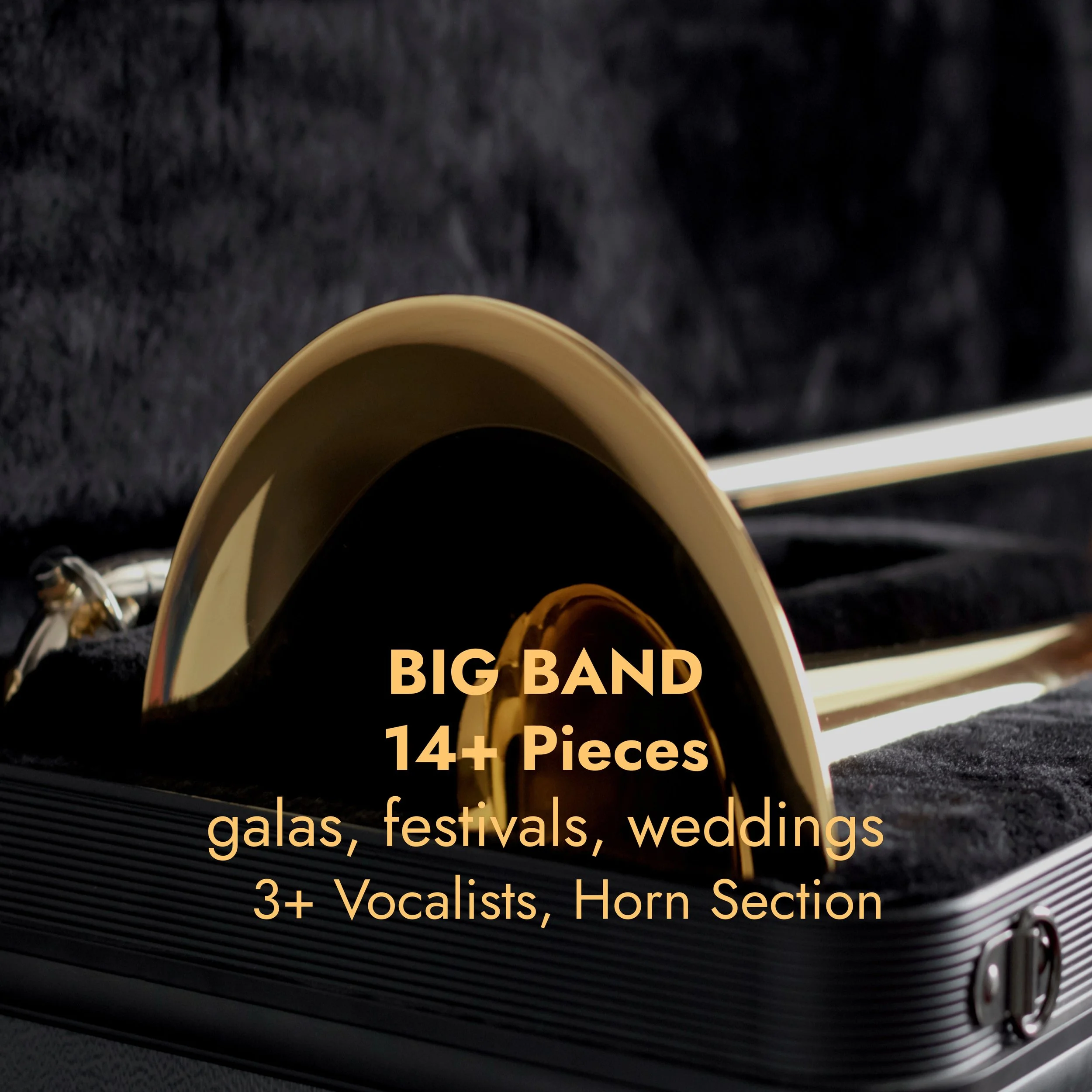 Big Band (2).jpg