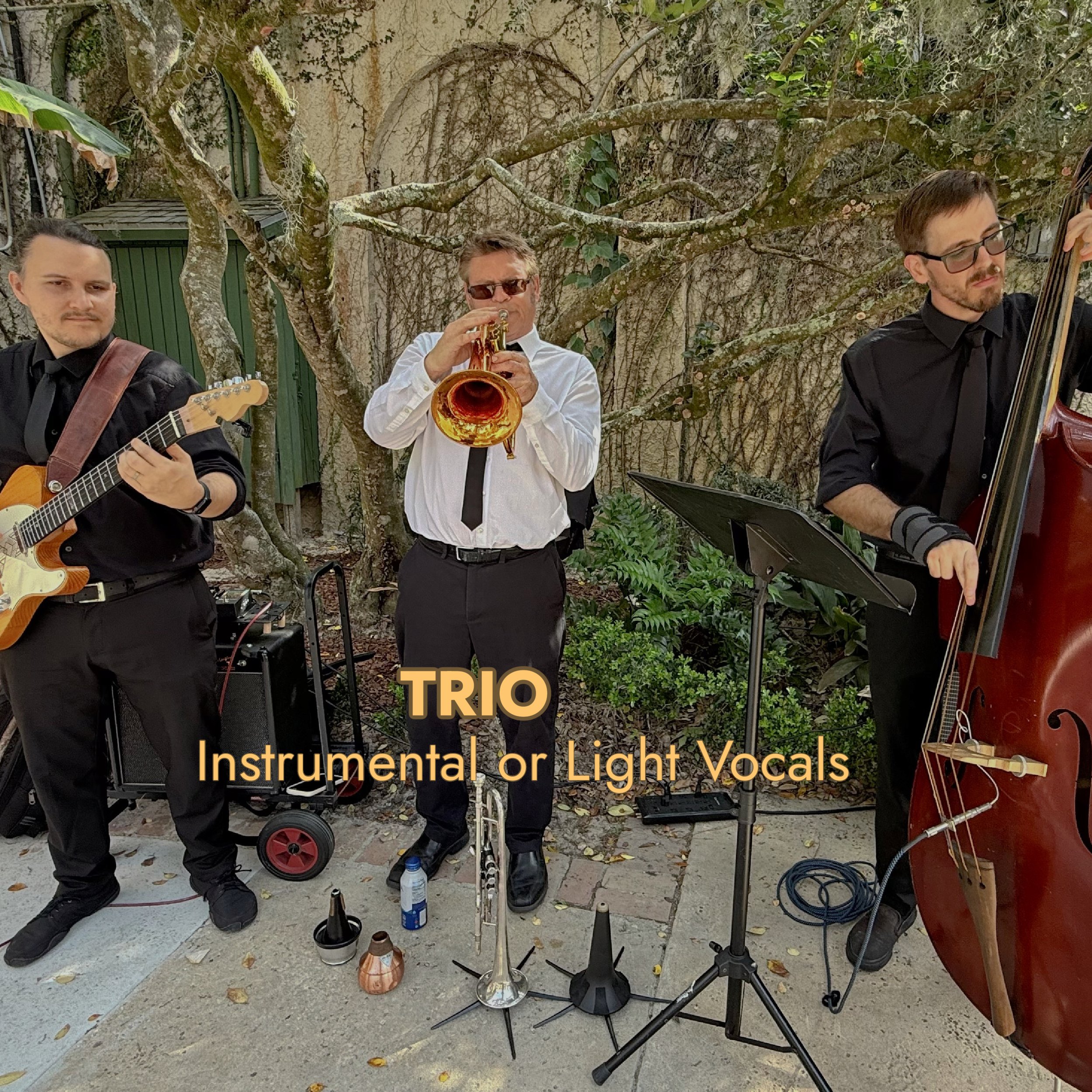 Trio 2.jpg
