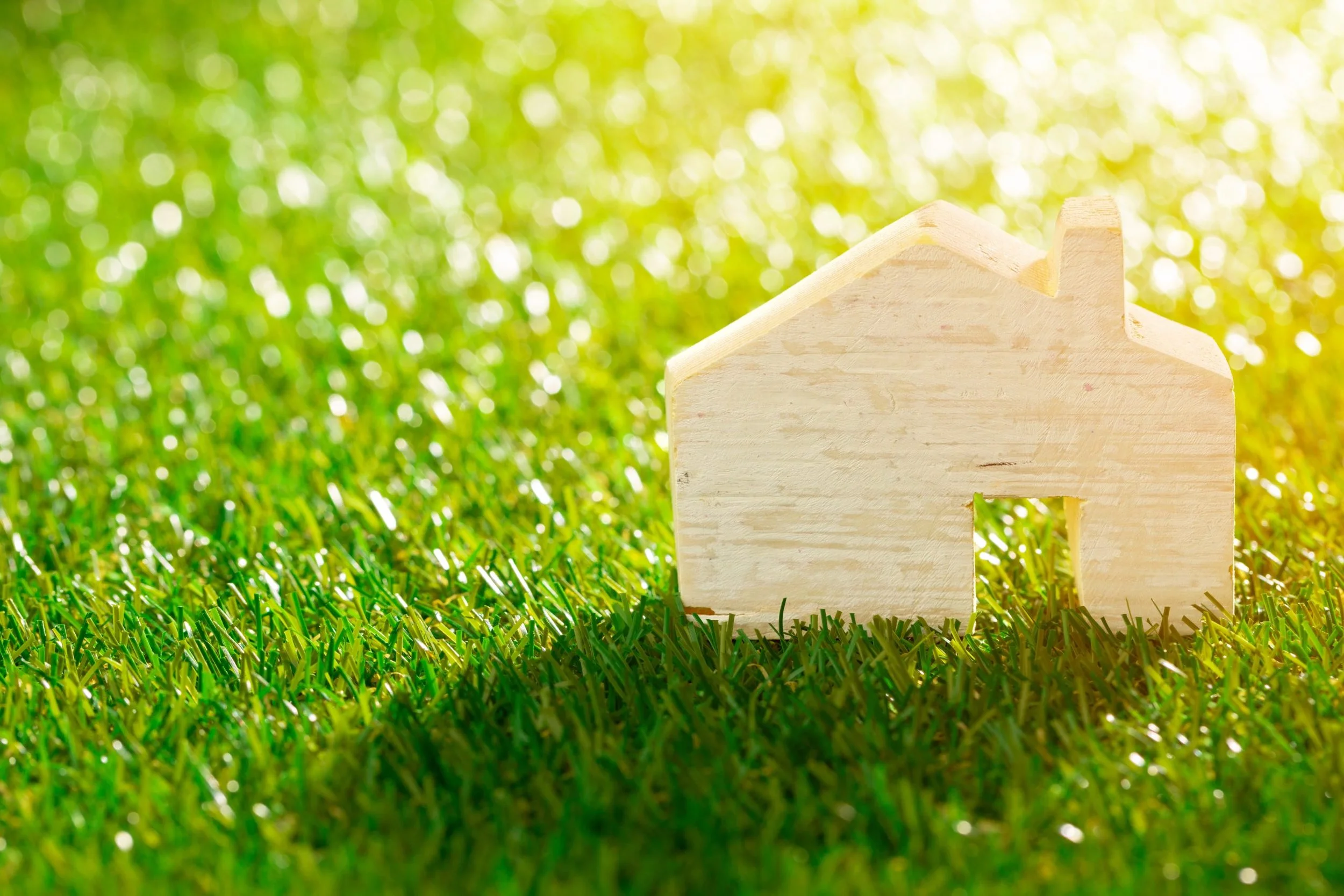 Smart Irrigation Strategies: Save Water, Protect Your Landscape, and Lower Maintenance Costs