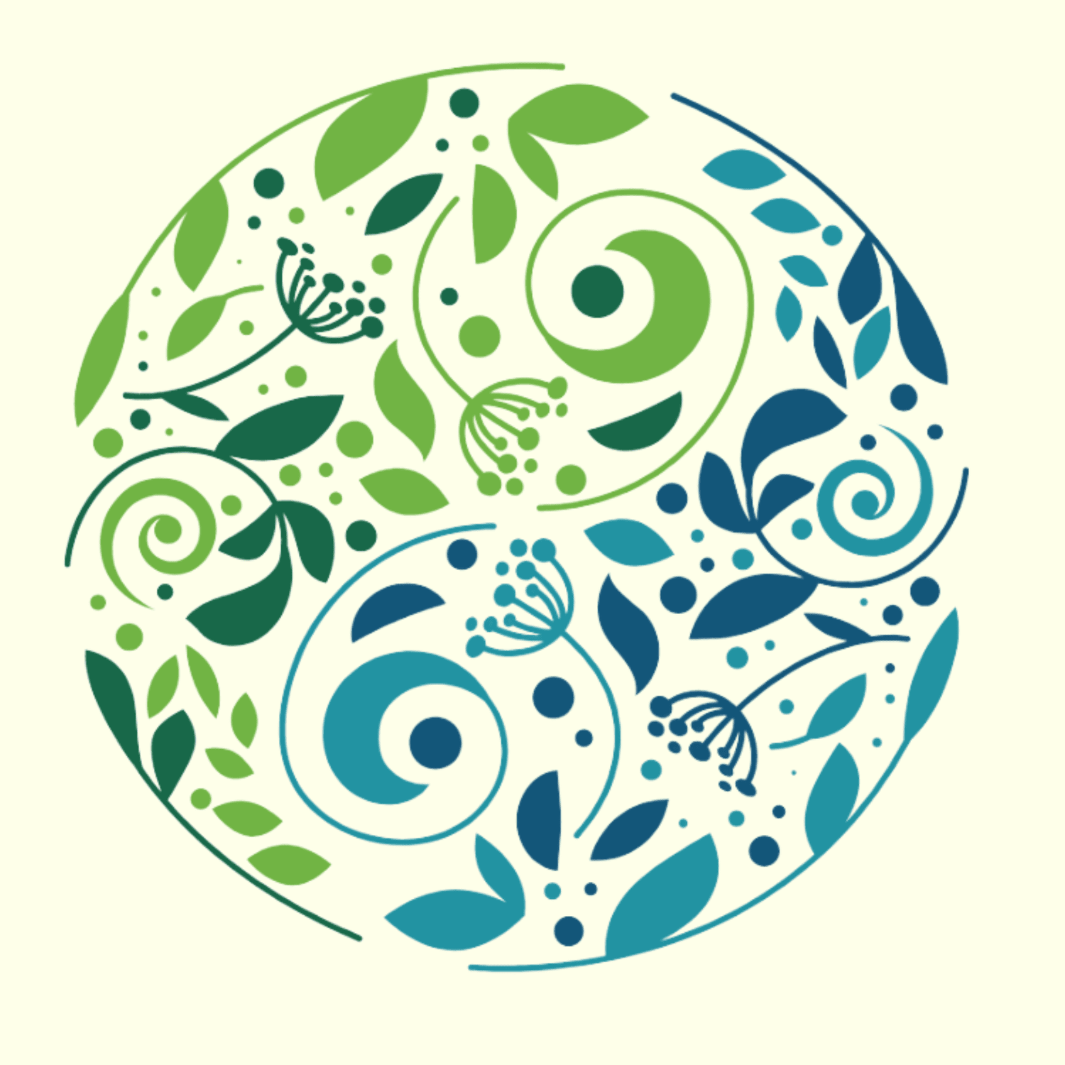 radiance embodied wellness