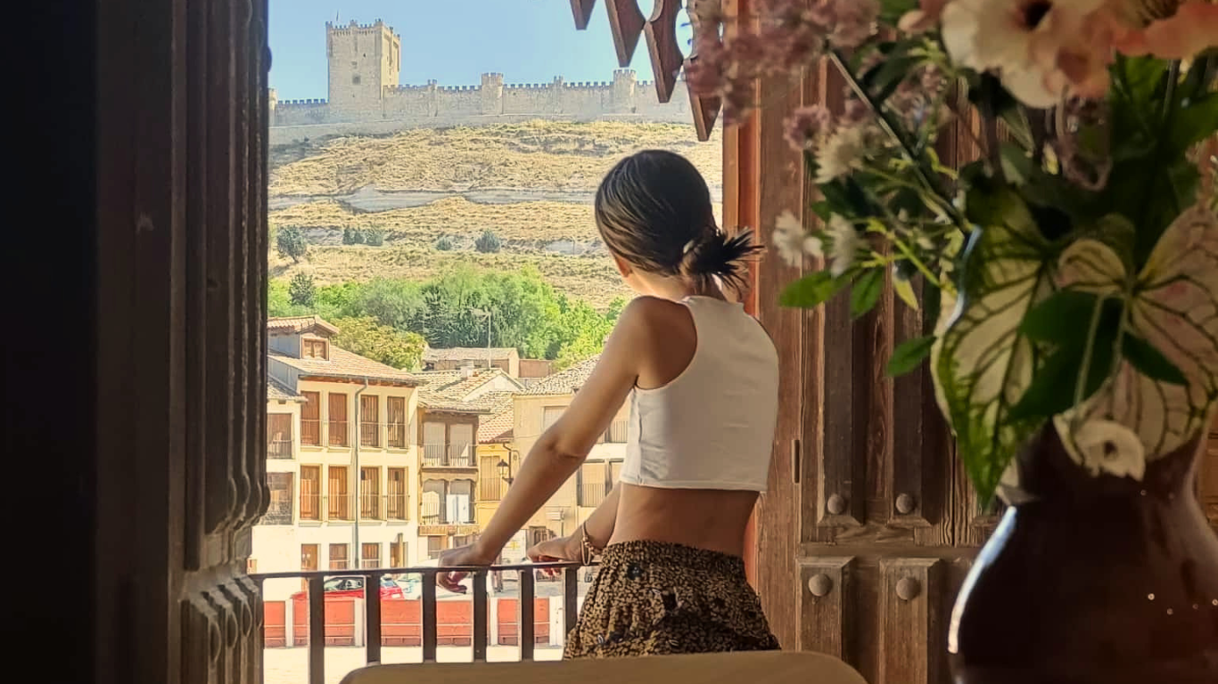 Alojamiento Ribera del Duero