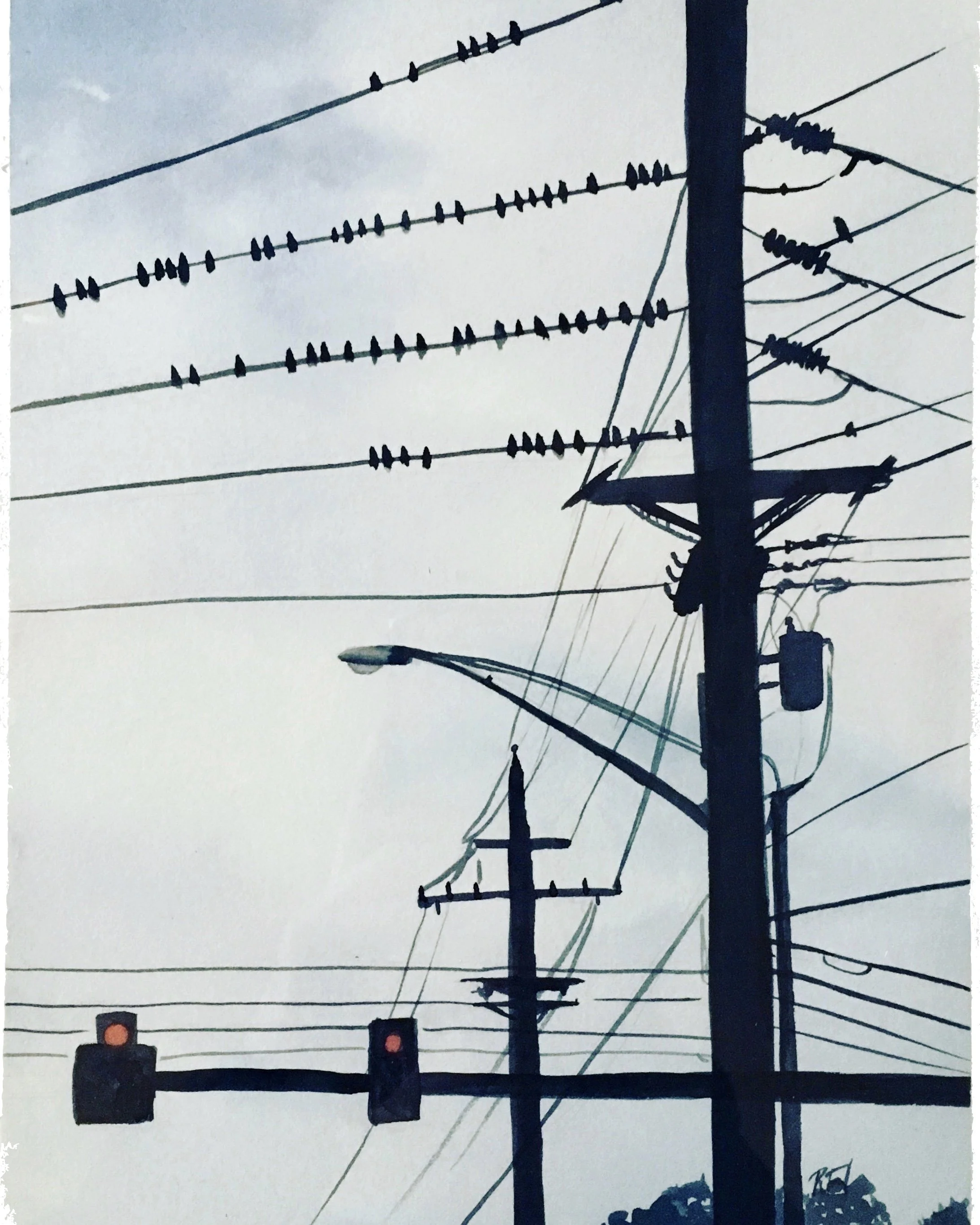 Starlings on a Wire for print.jpeg