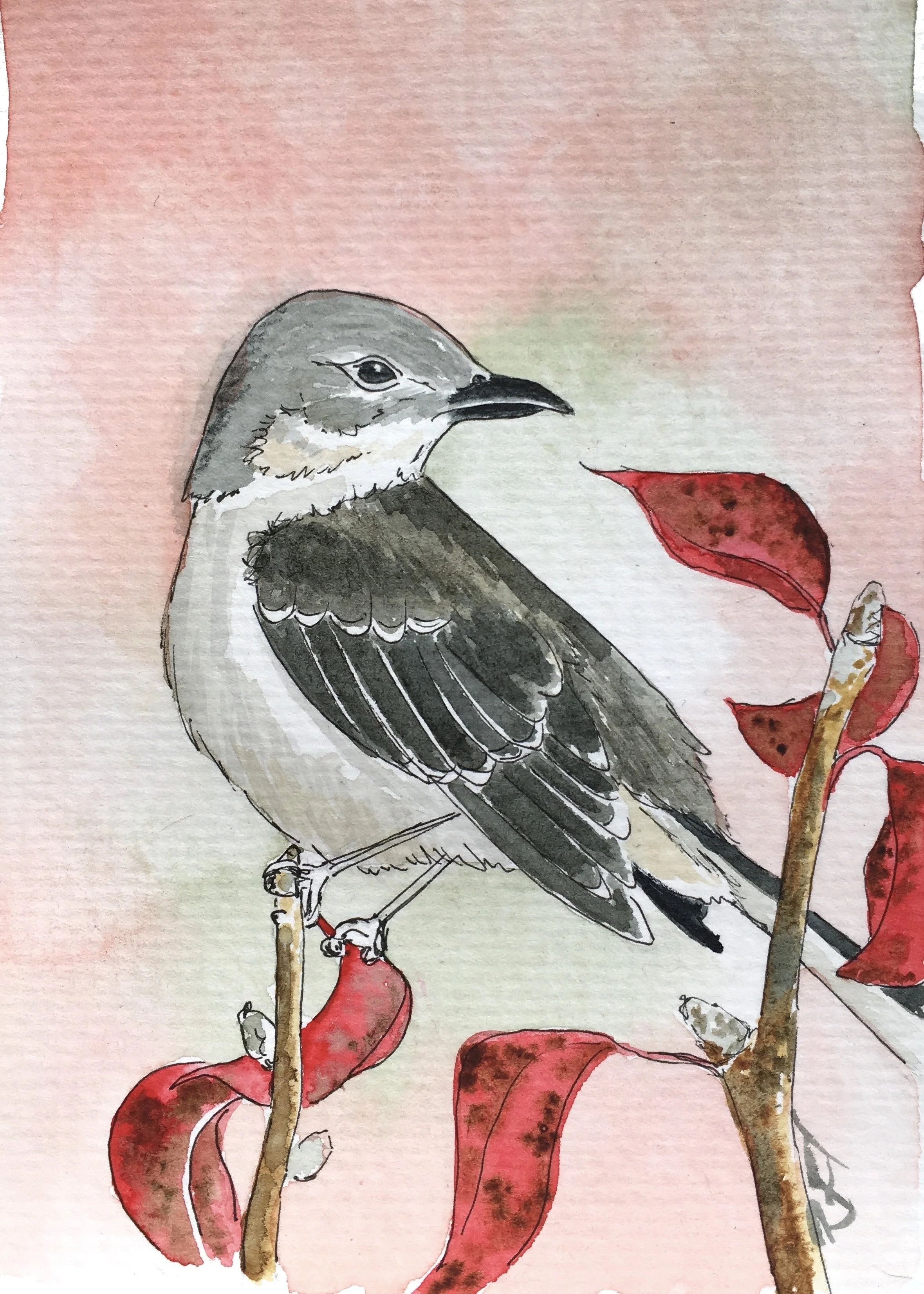 TN Mocking Bird-print image.jpeg