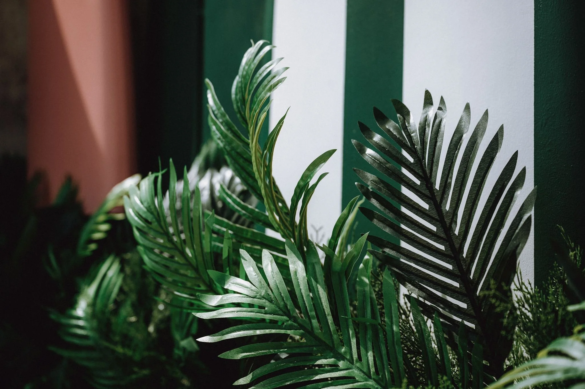 2026_PALM-BEACH-CLUB_SEVENTA_JBPHOTO-225.jpg