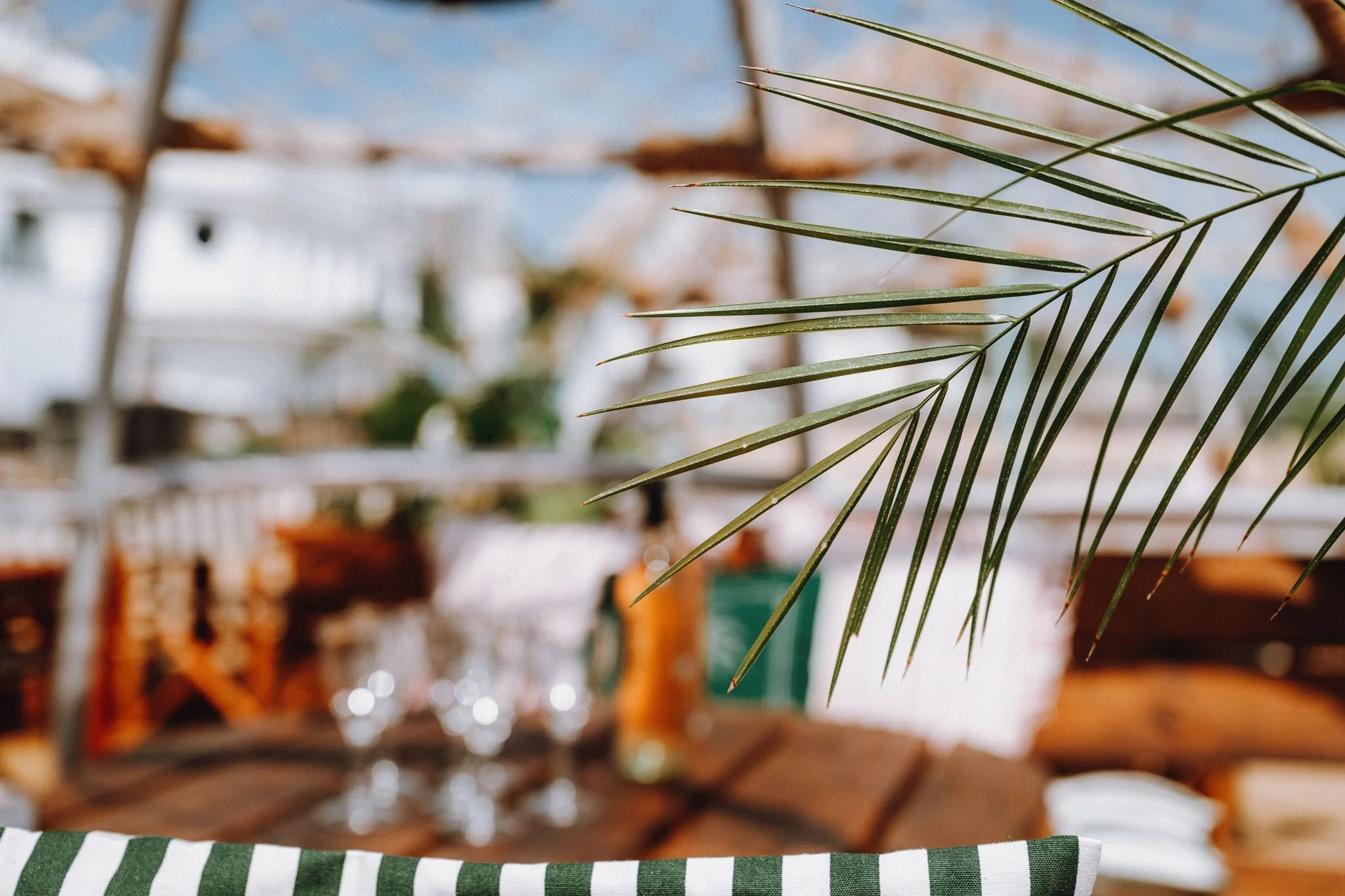2026_PALM-BEACH-CLUB_SEVENTA_JBPHOTO-147.jpg