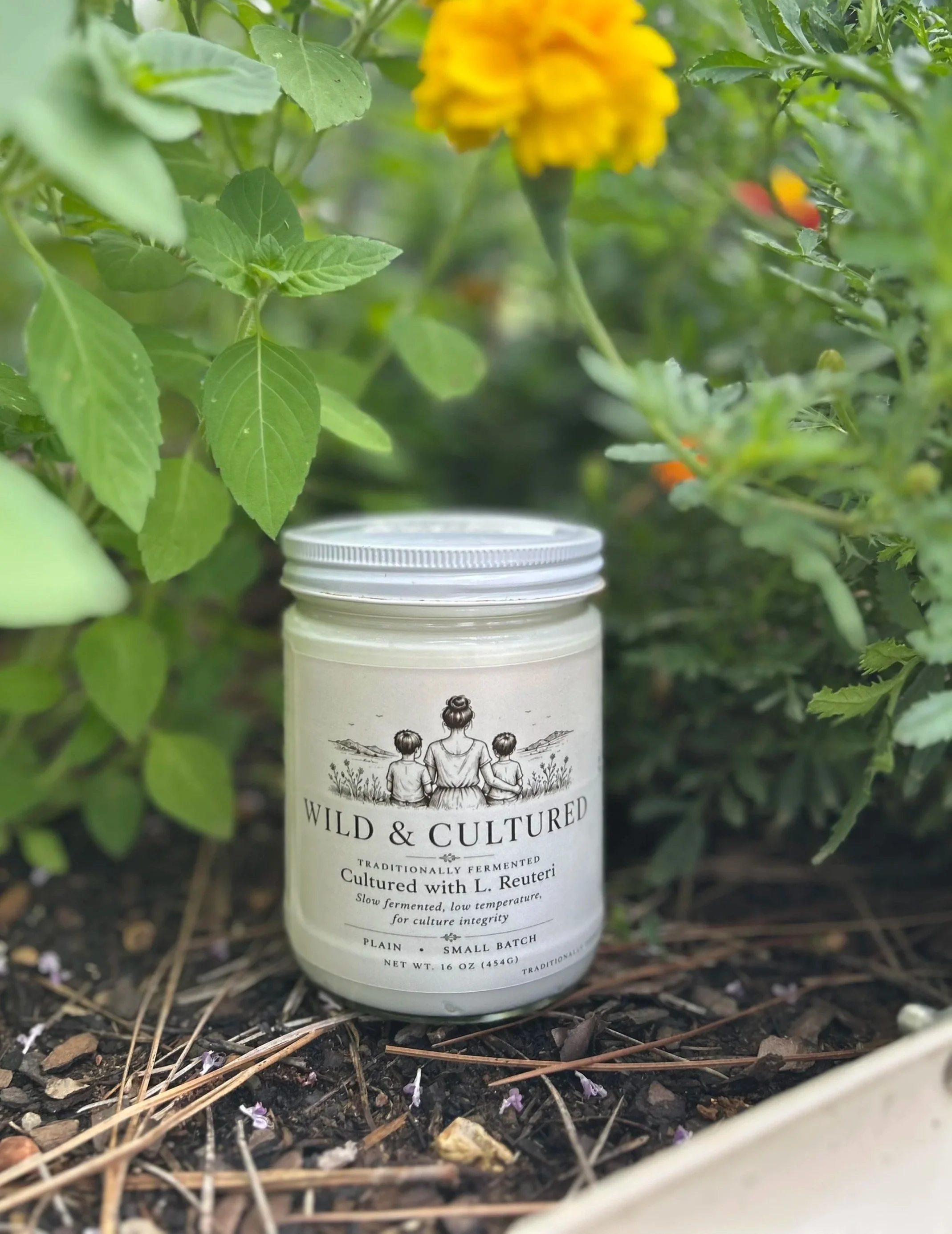 Traditionally Fermented Yogurt