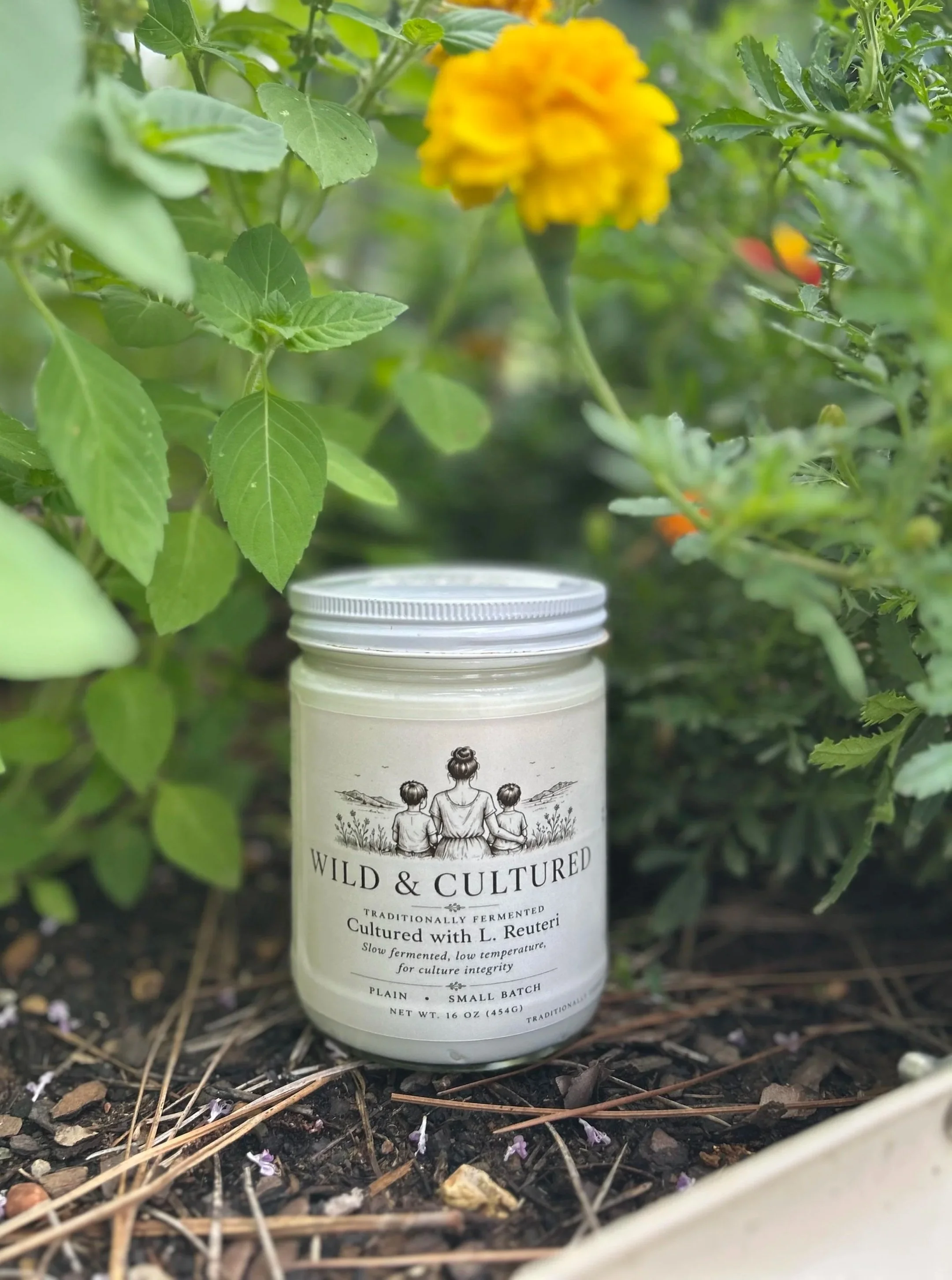 Traditionally Fermented Yogurt