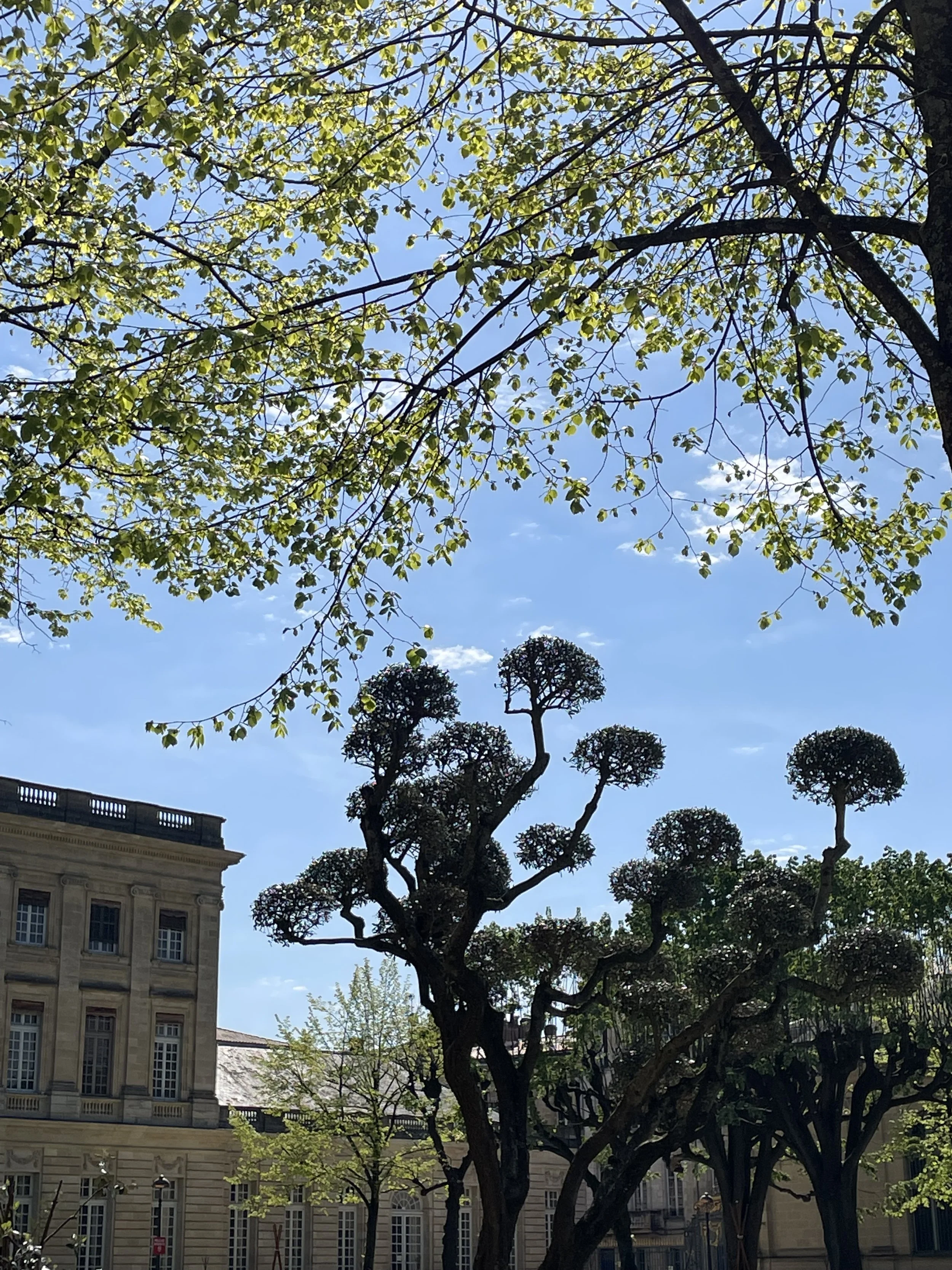 IMG_2644.jpeg