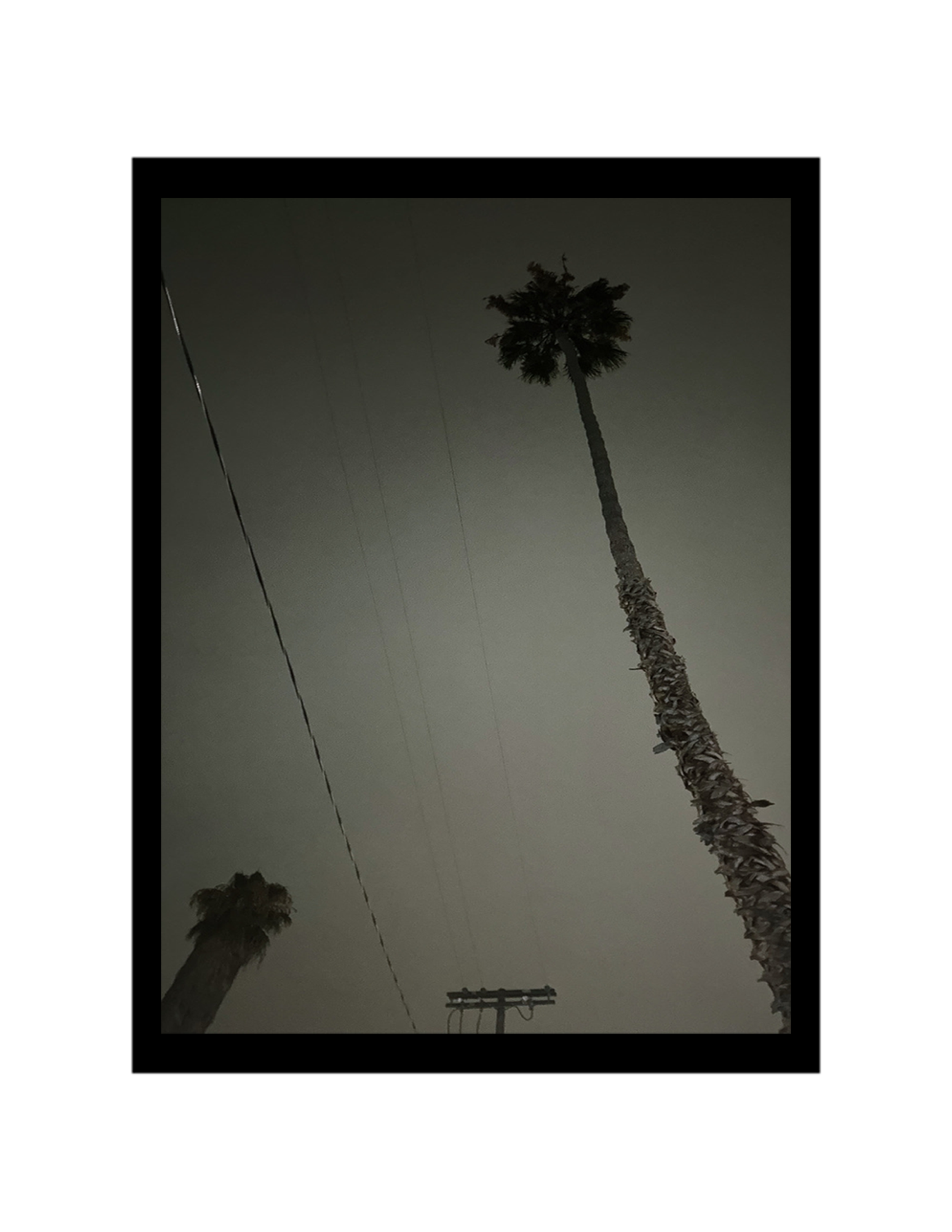 Framed Photography