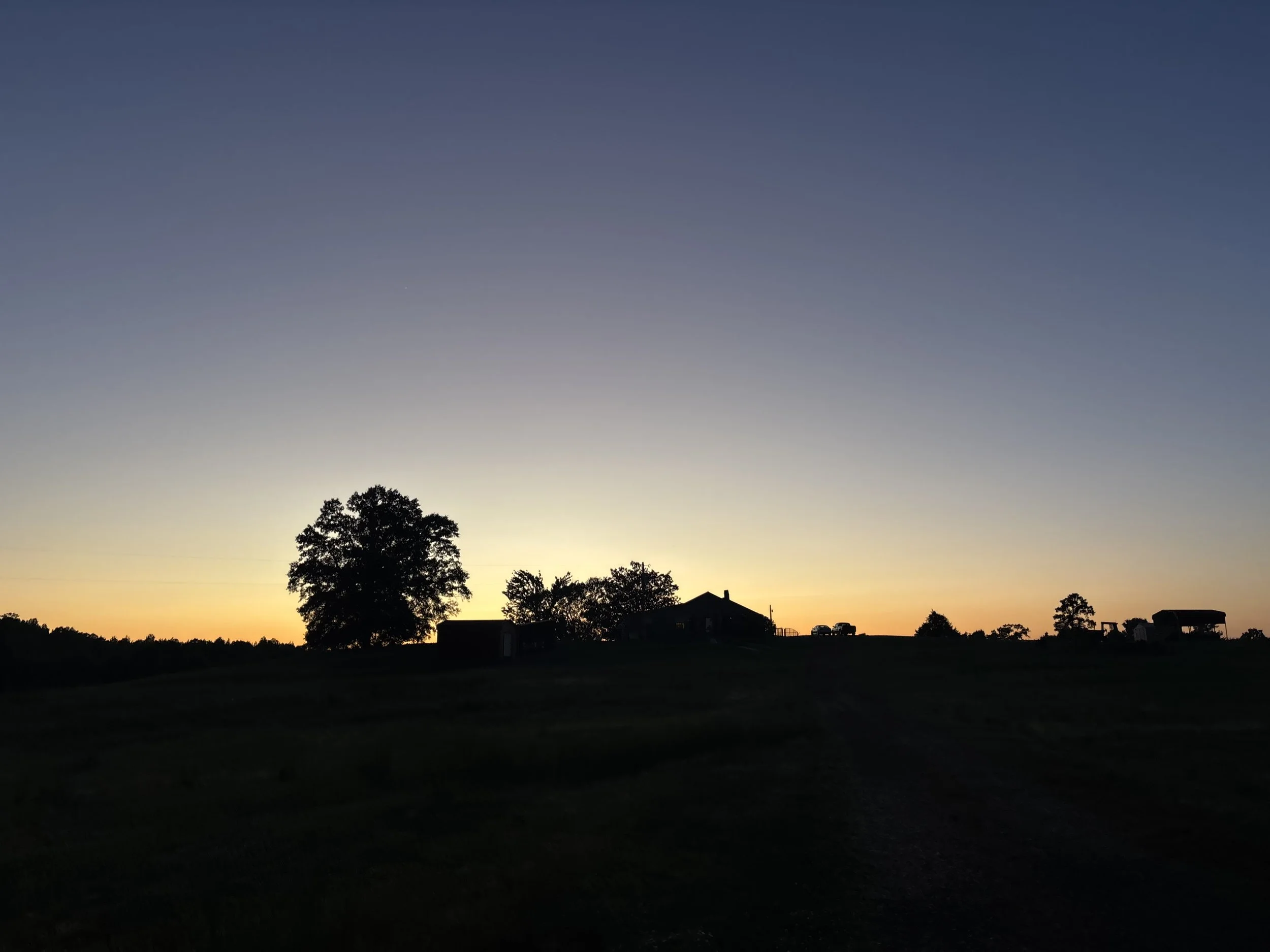 IMG_4852.jpeg