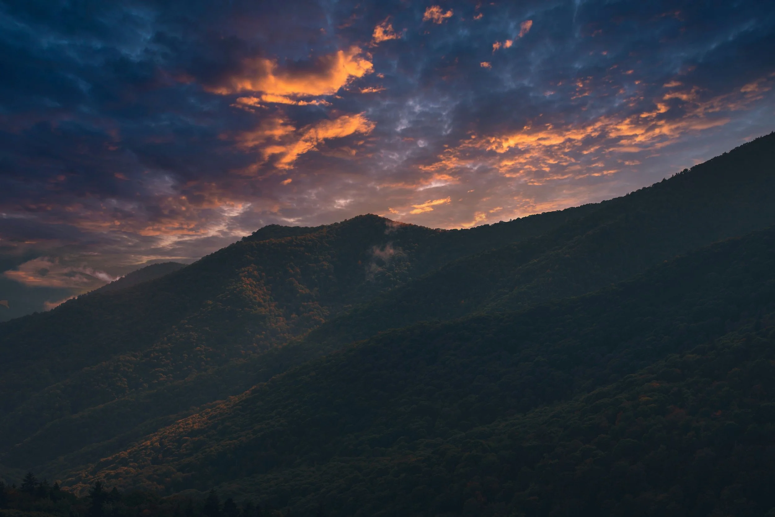 pexels-connorscottmcmanus-11599563.jpg