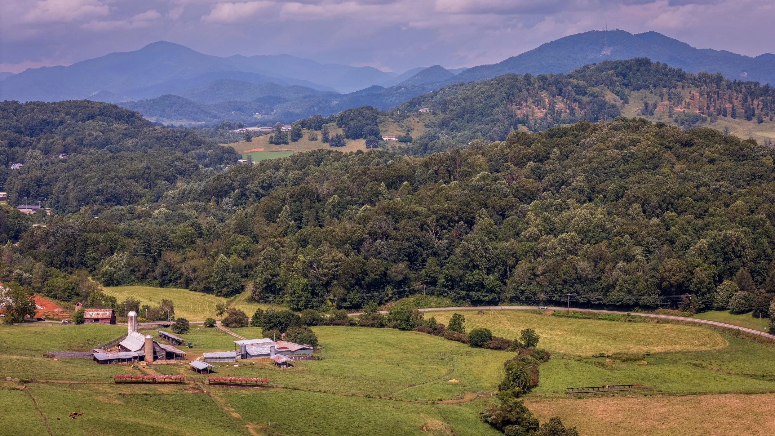 pexels-nc-farm-bureau-mark-33777993.jpg