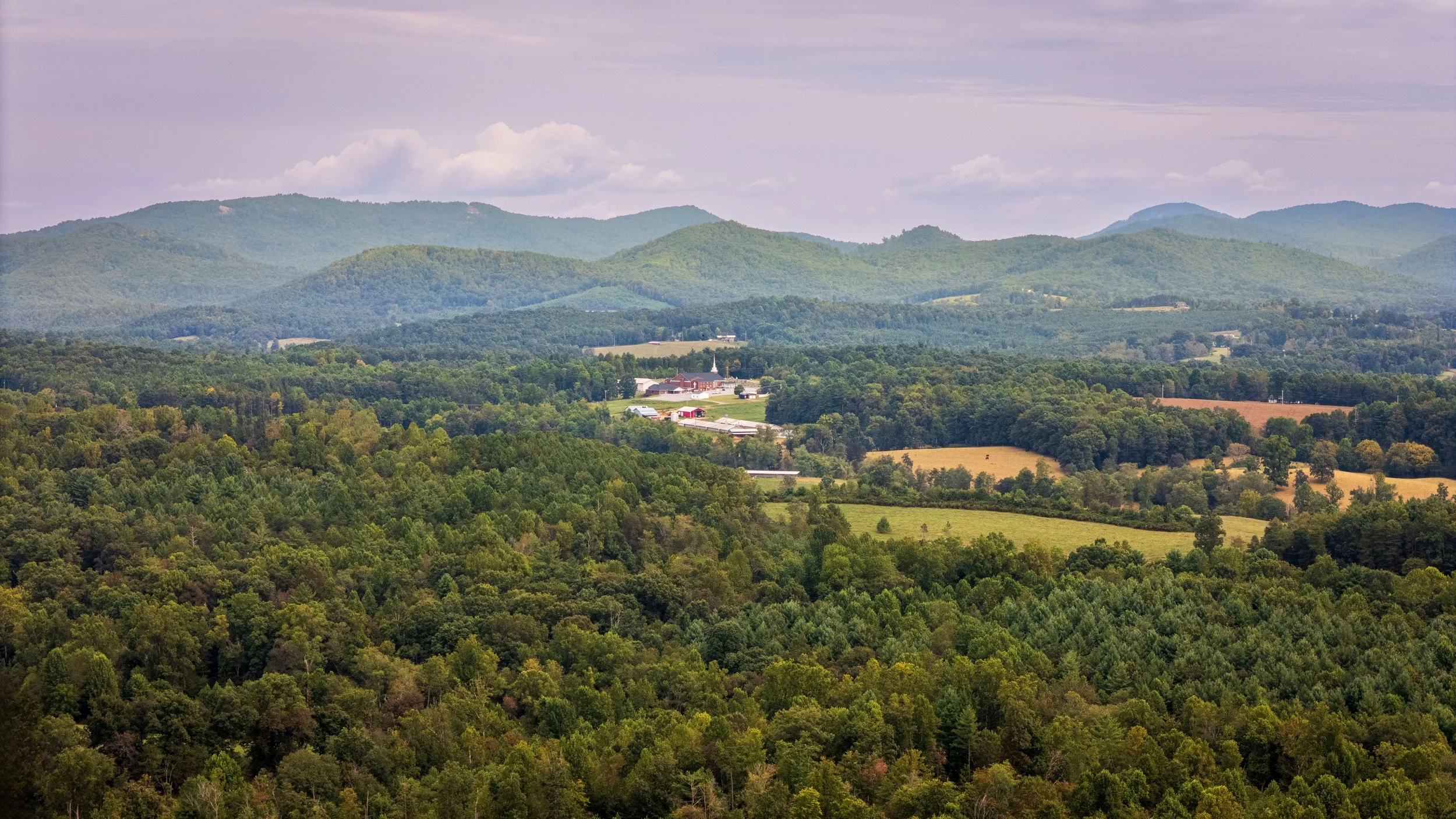 pexels-nc-farm-bureau-mark-33938846.jpg